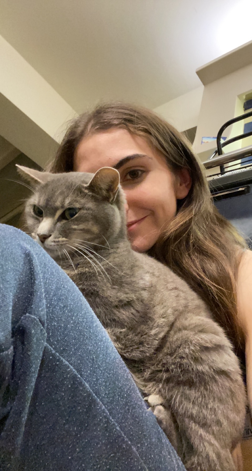 image-6