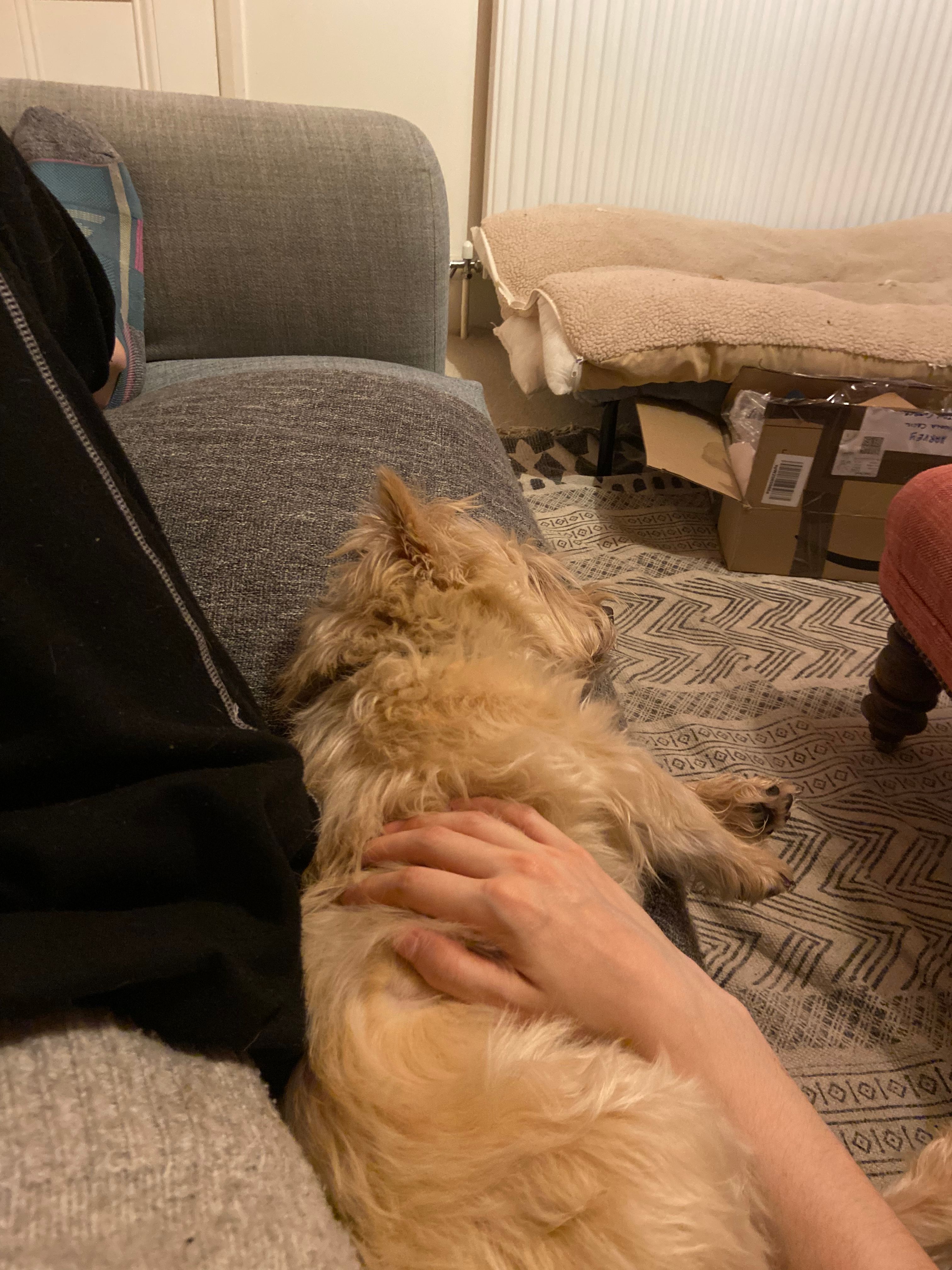 image-7
