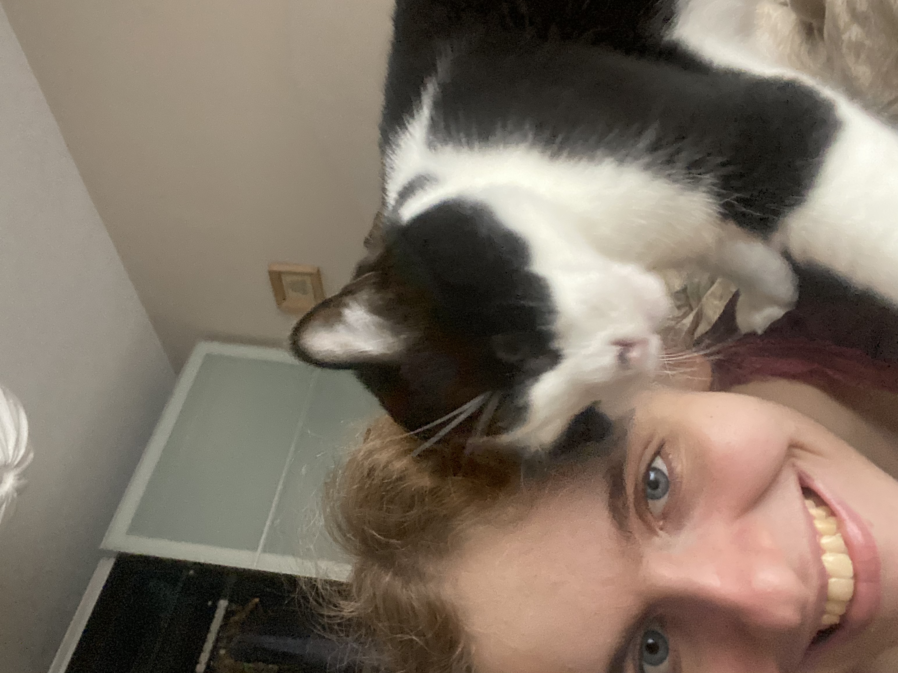 image-10
