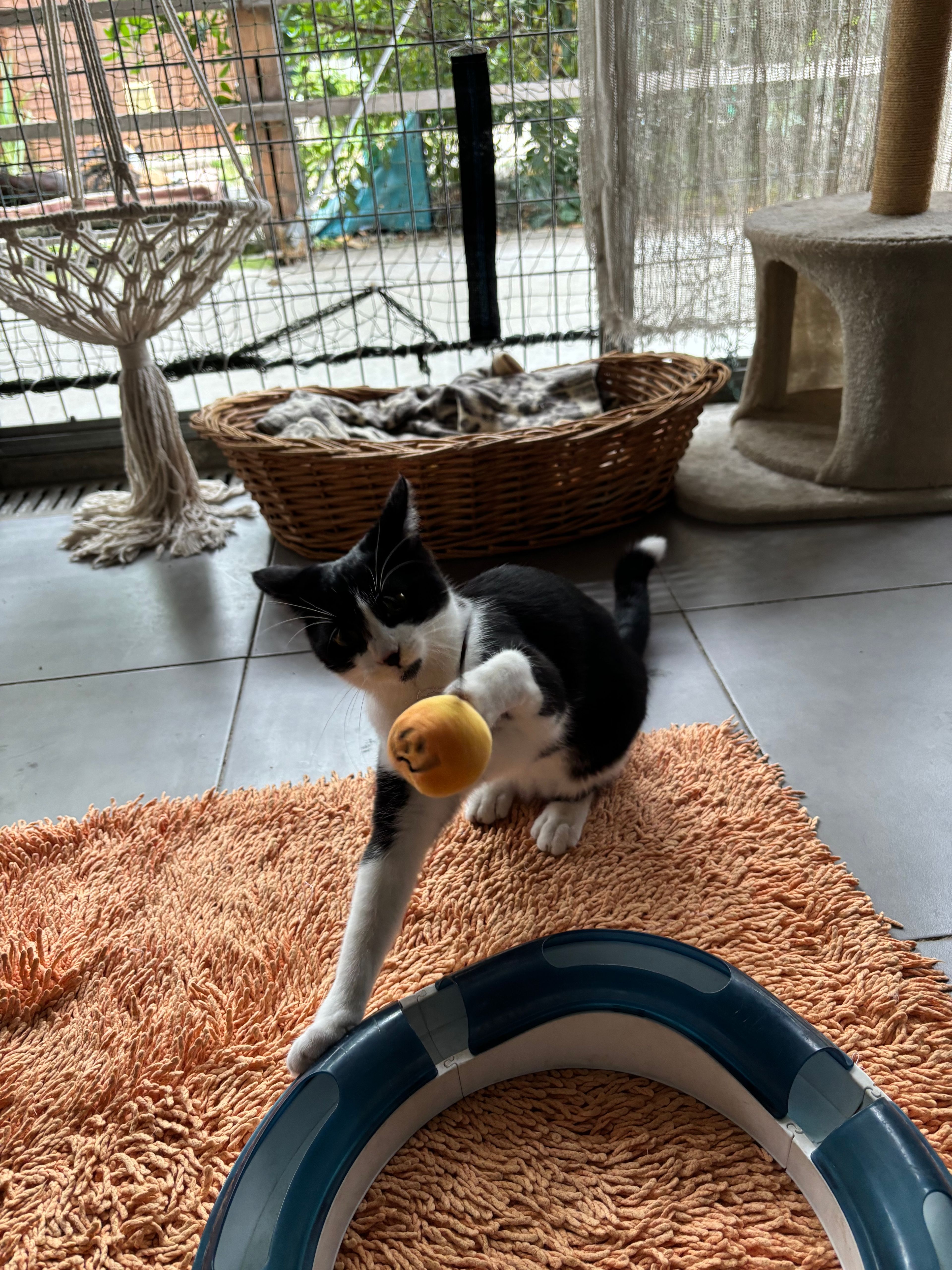 image-6