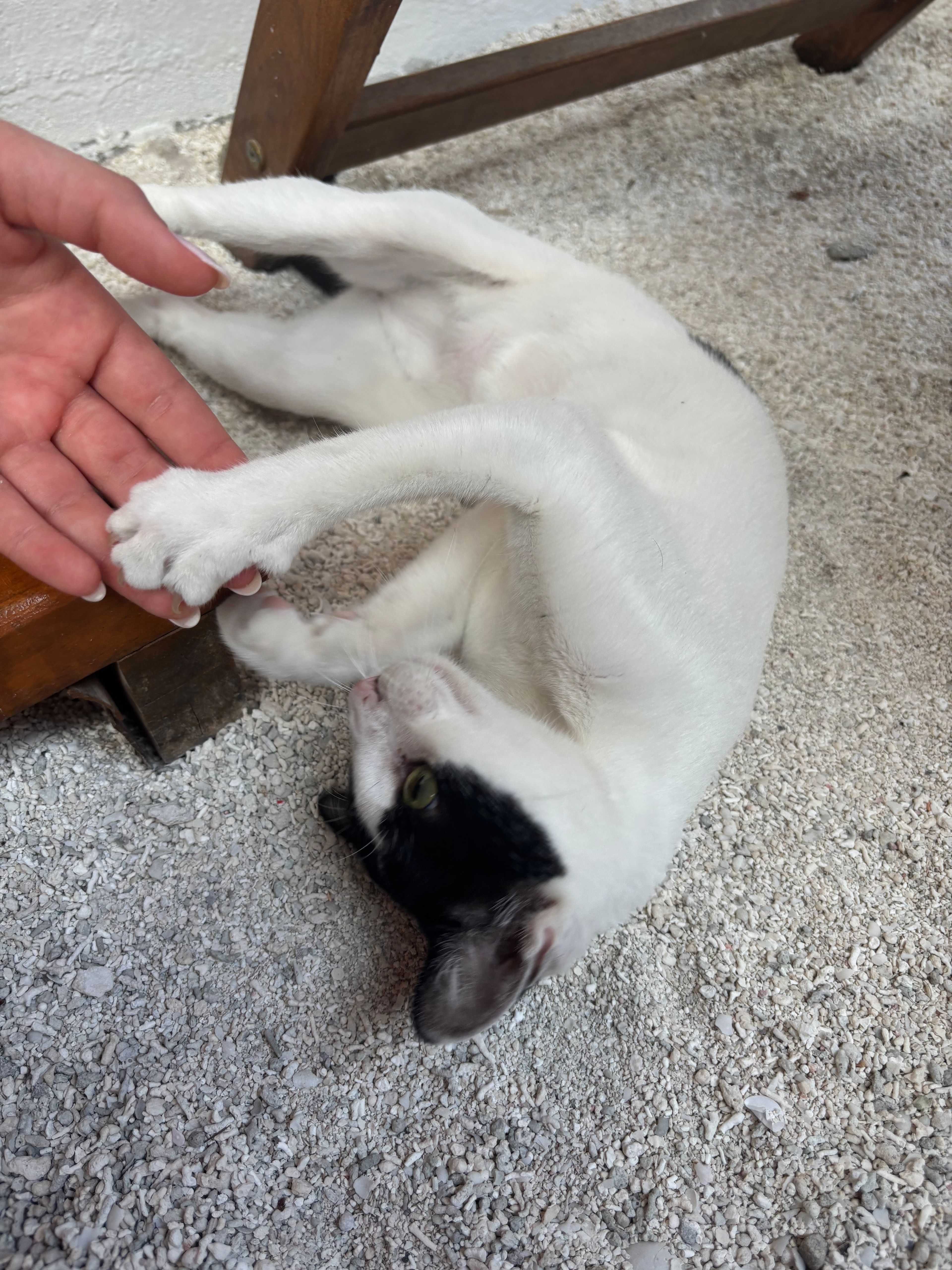 image-7