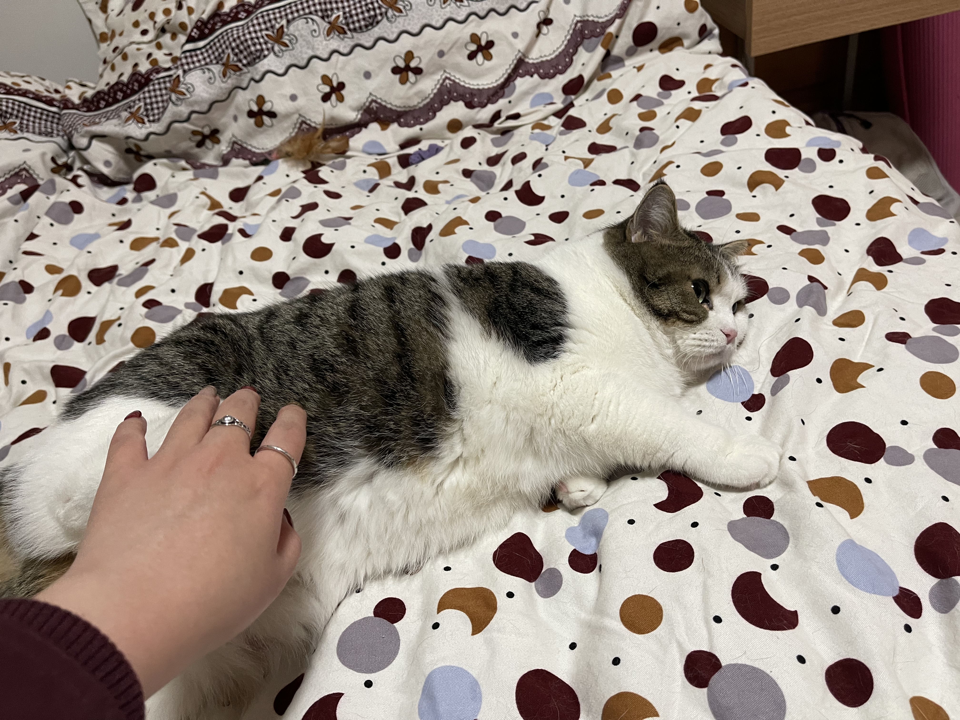 image-13