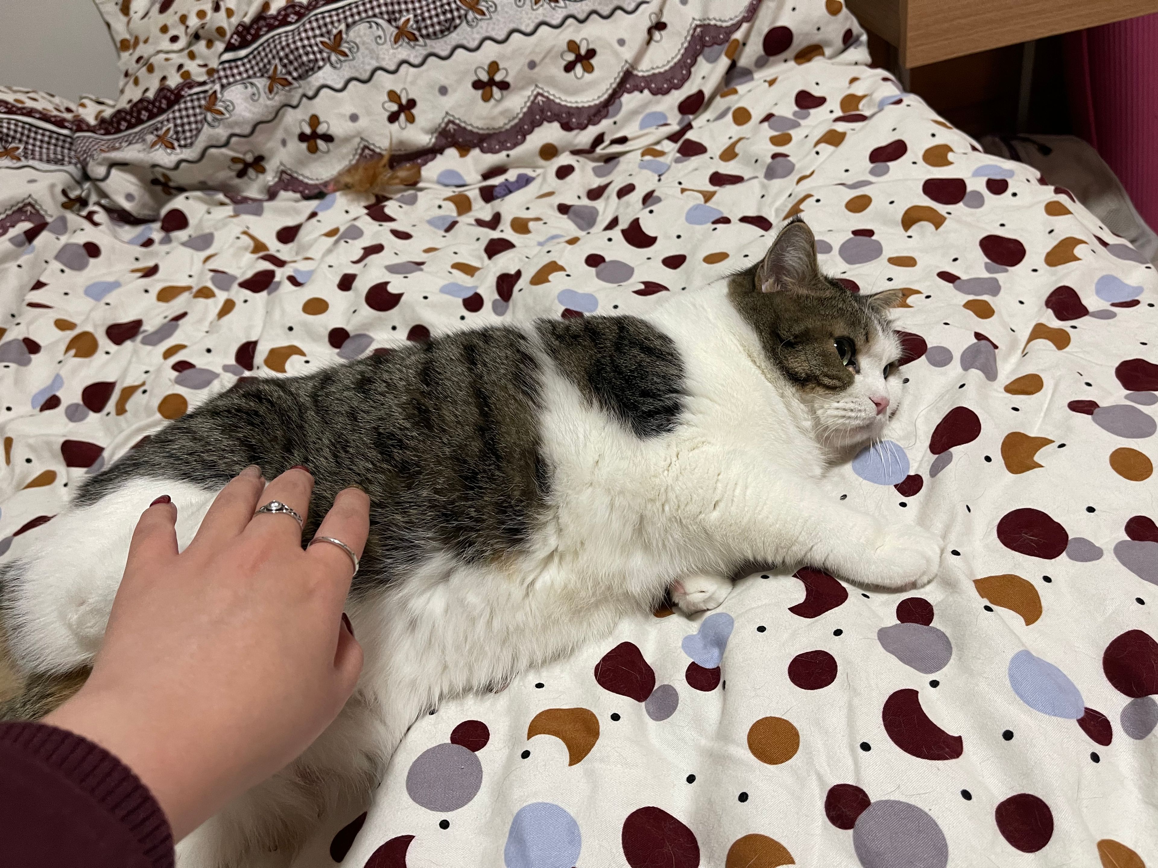 image-13