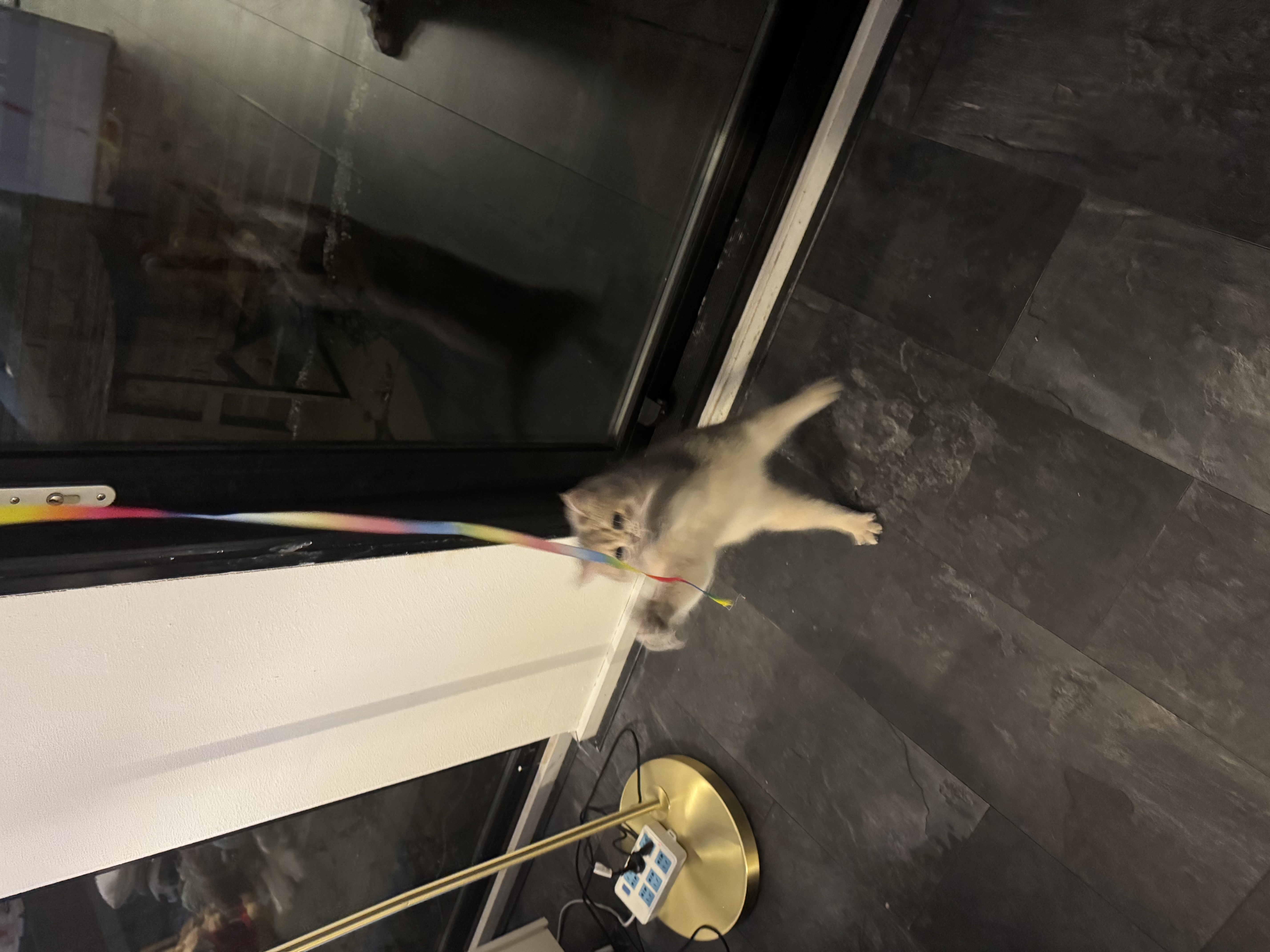 image-7