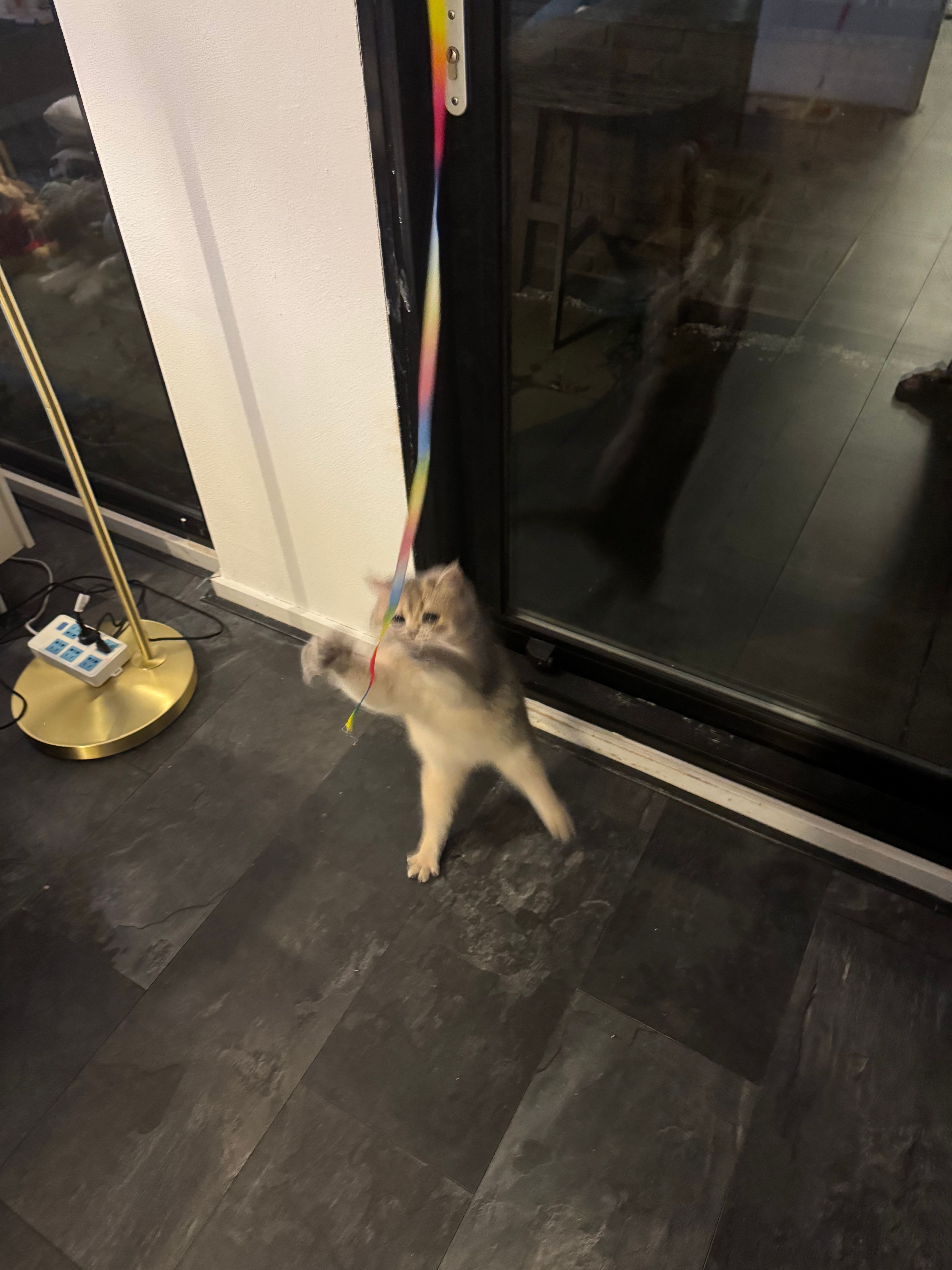 image-7