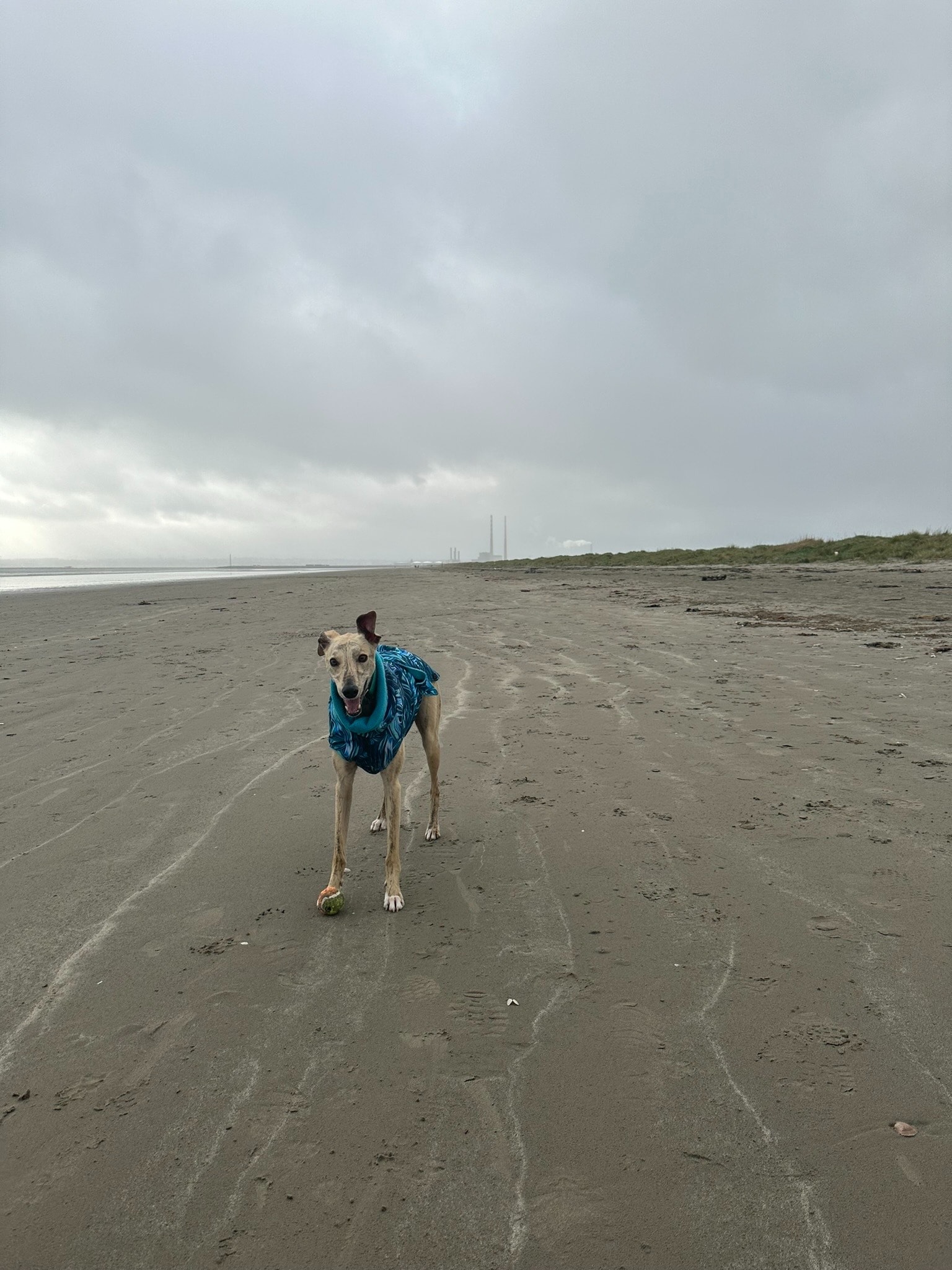 image-6