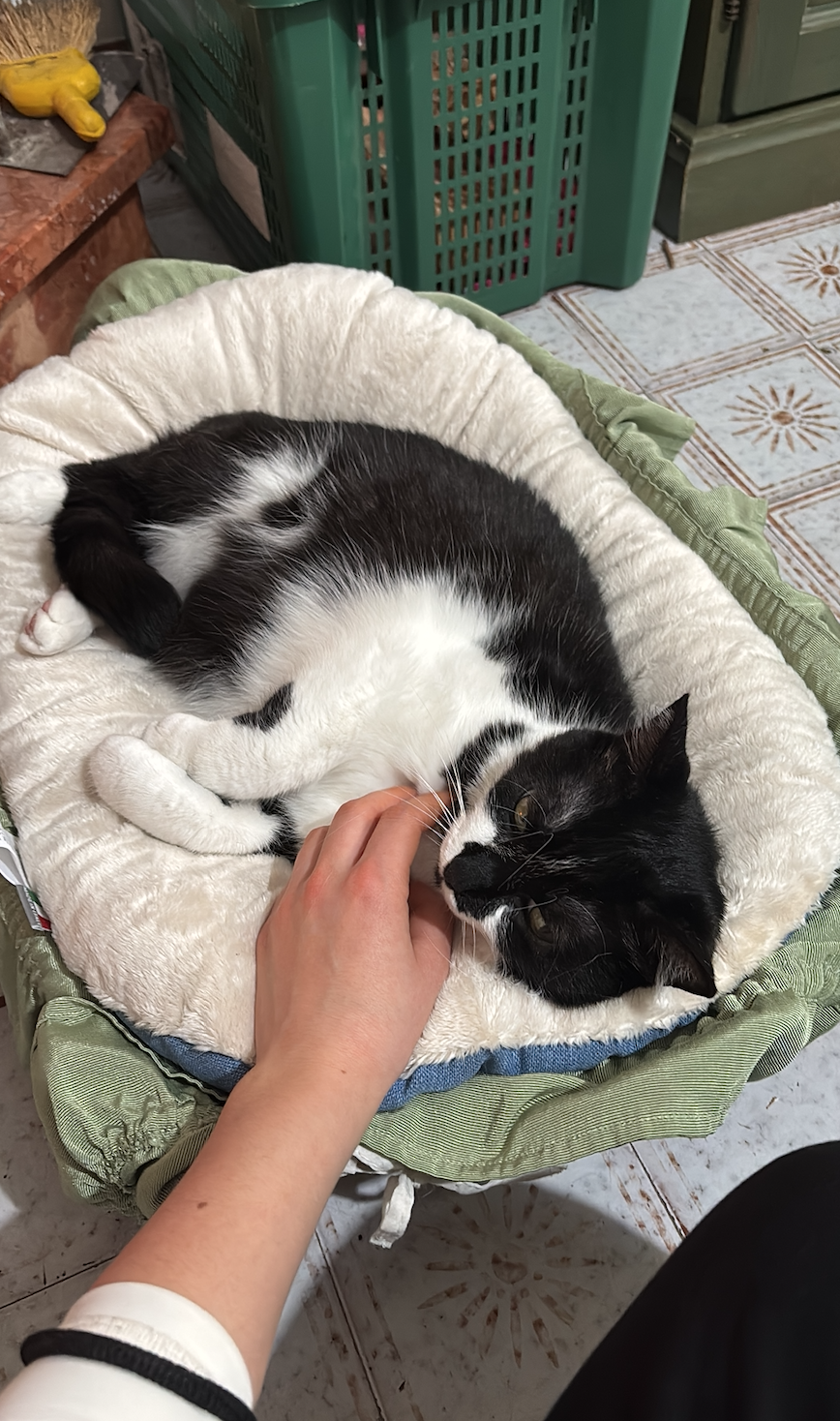image-6
