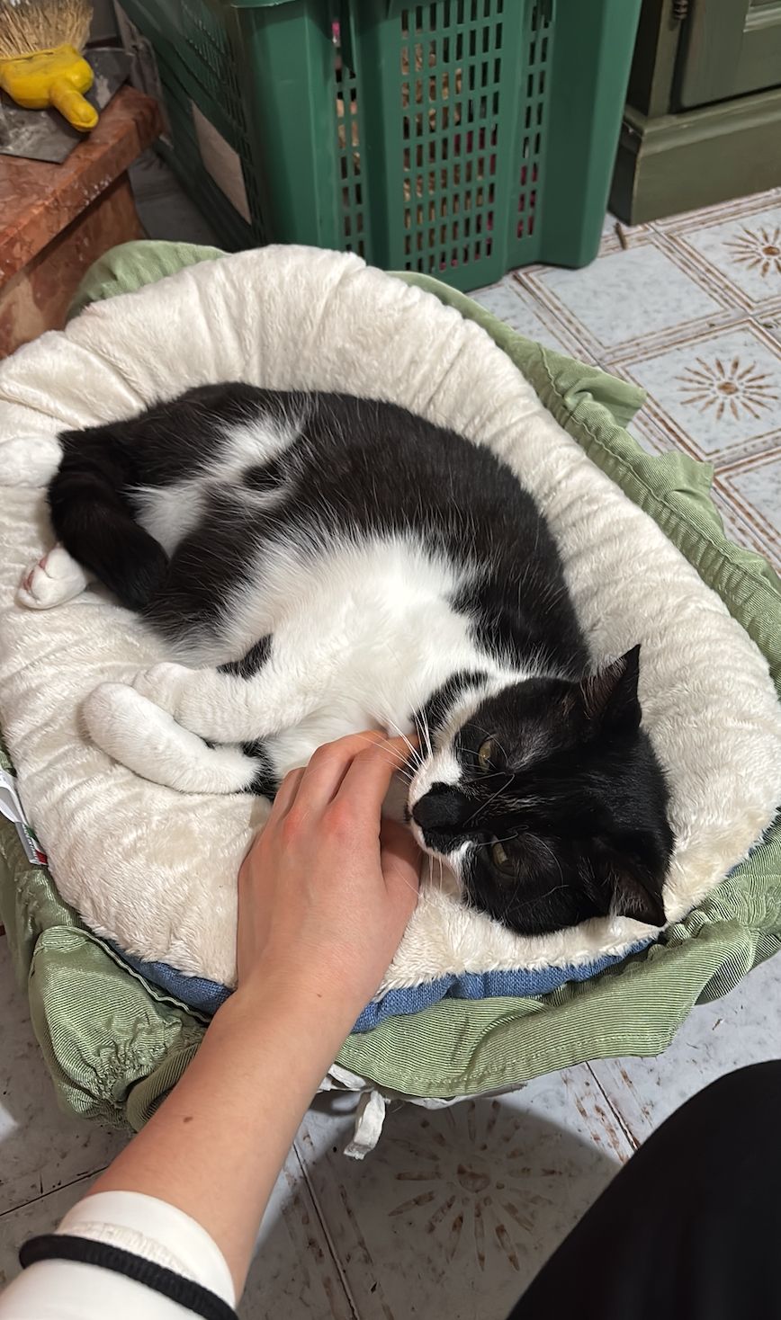 image-6