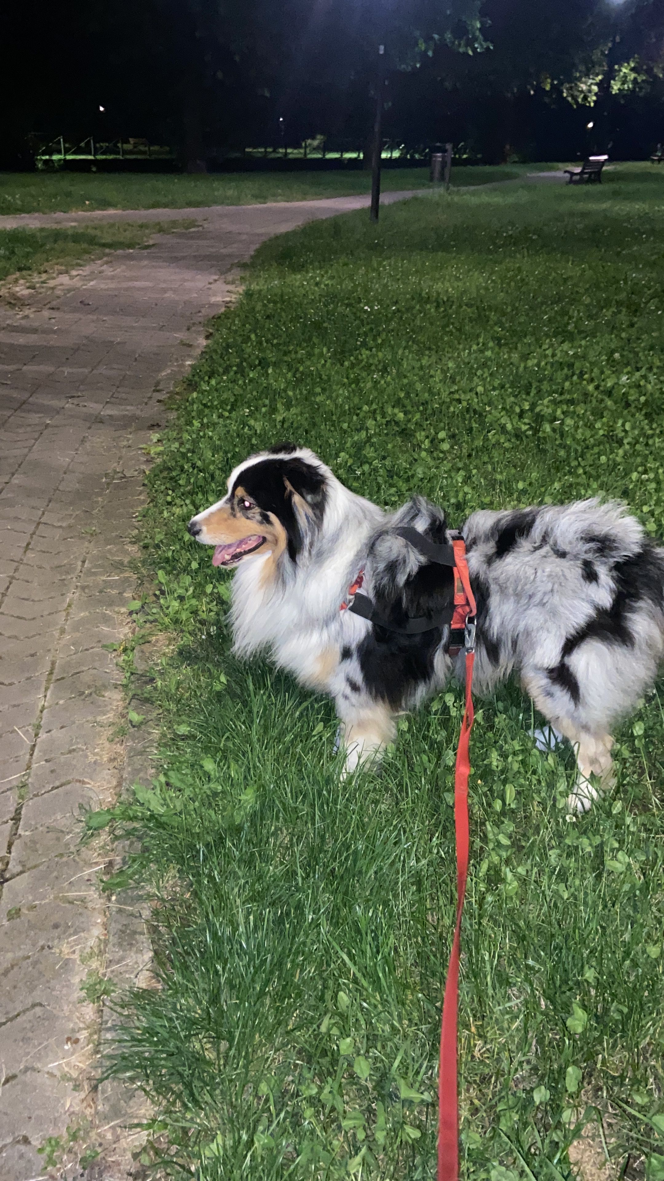 image-10