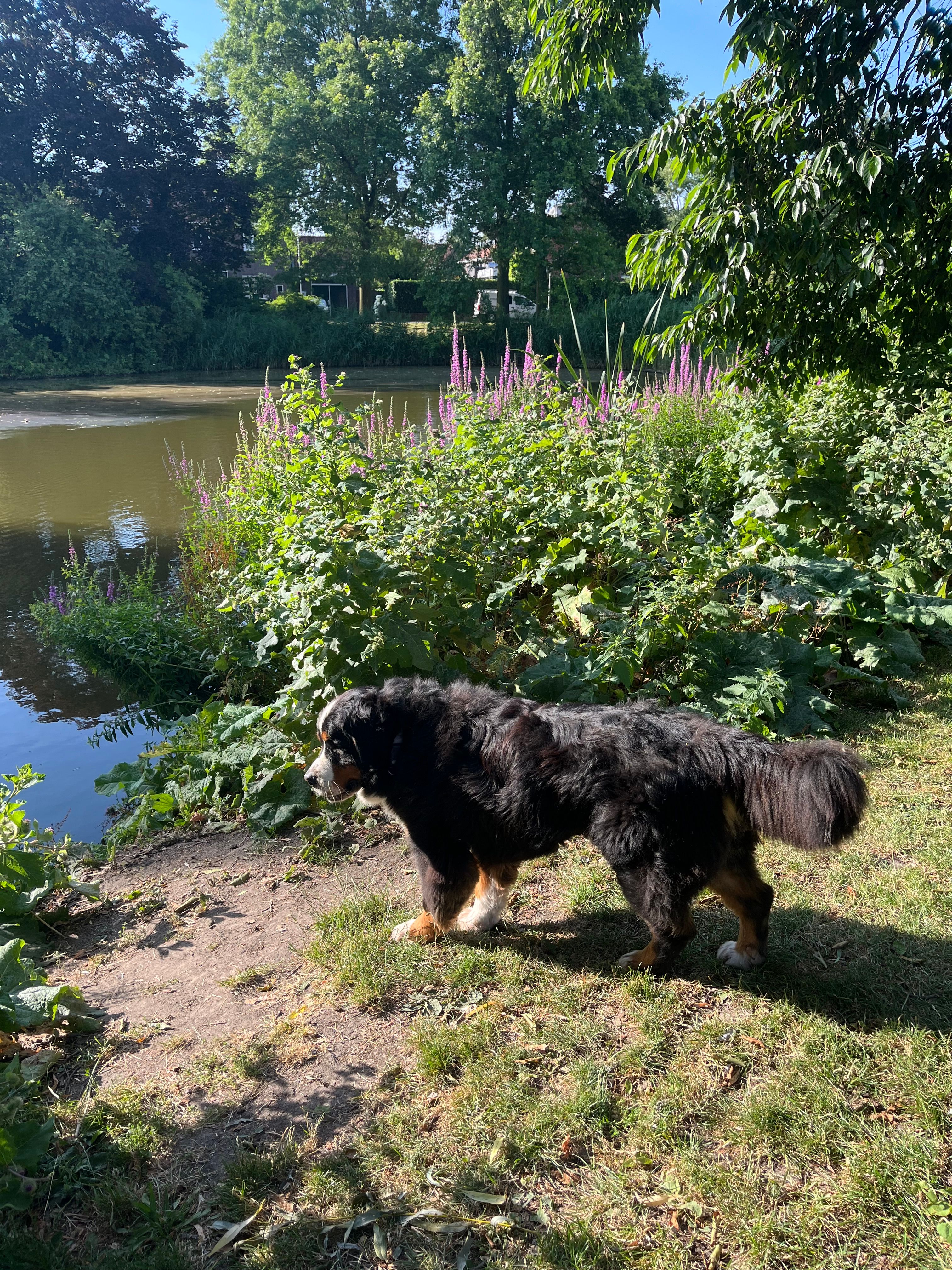image-20