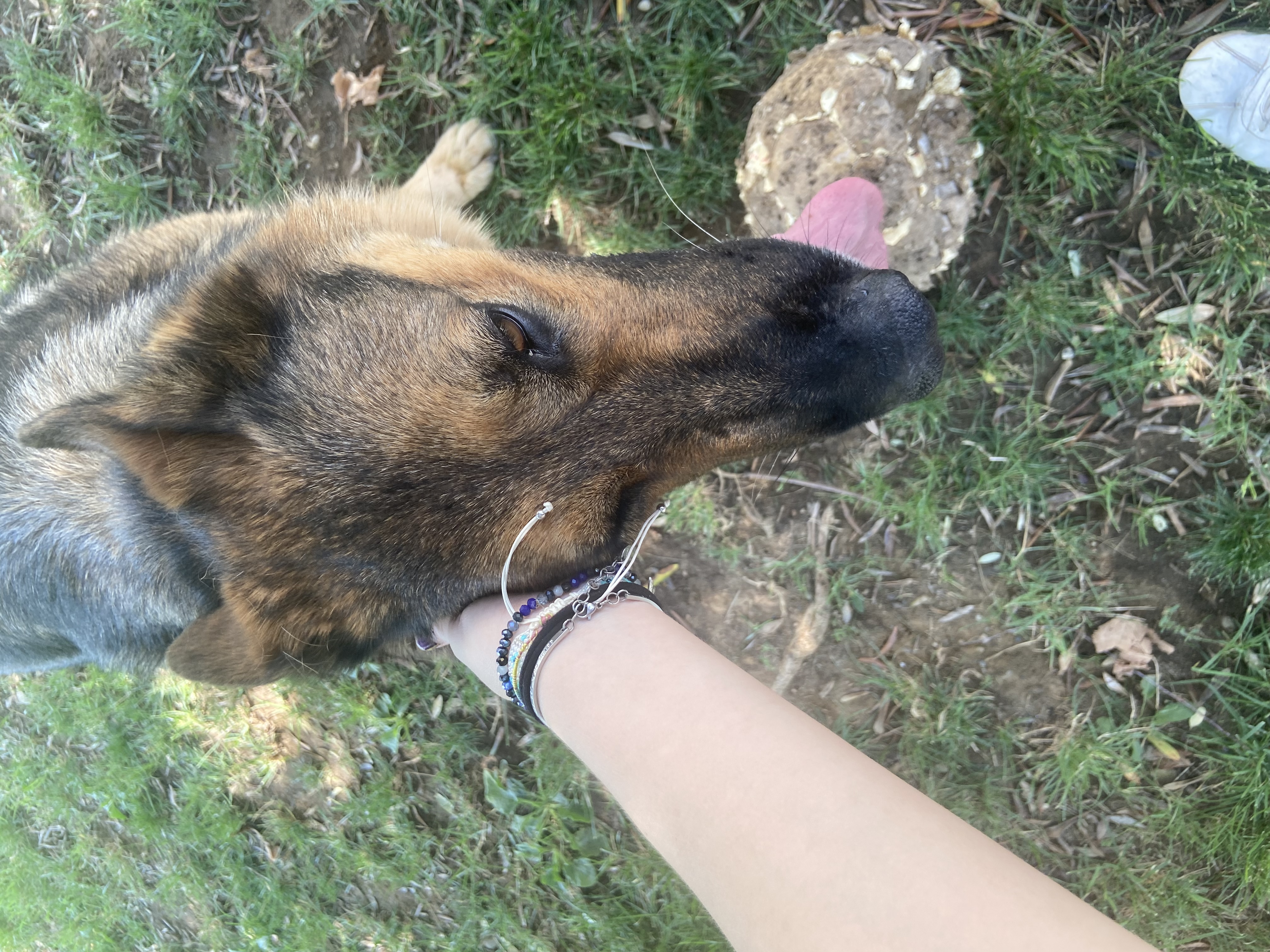 image-11