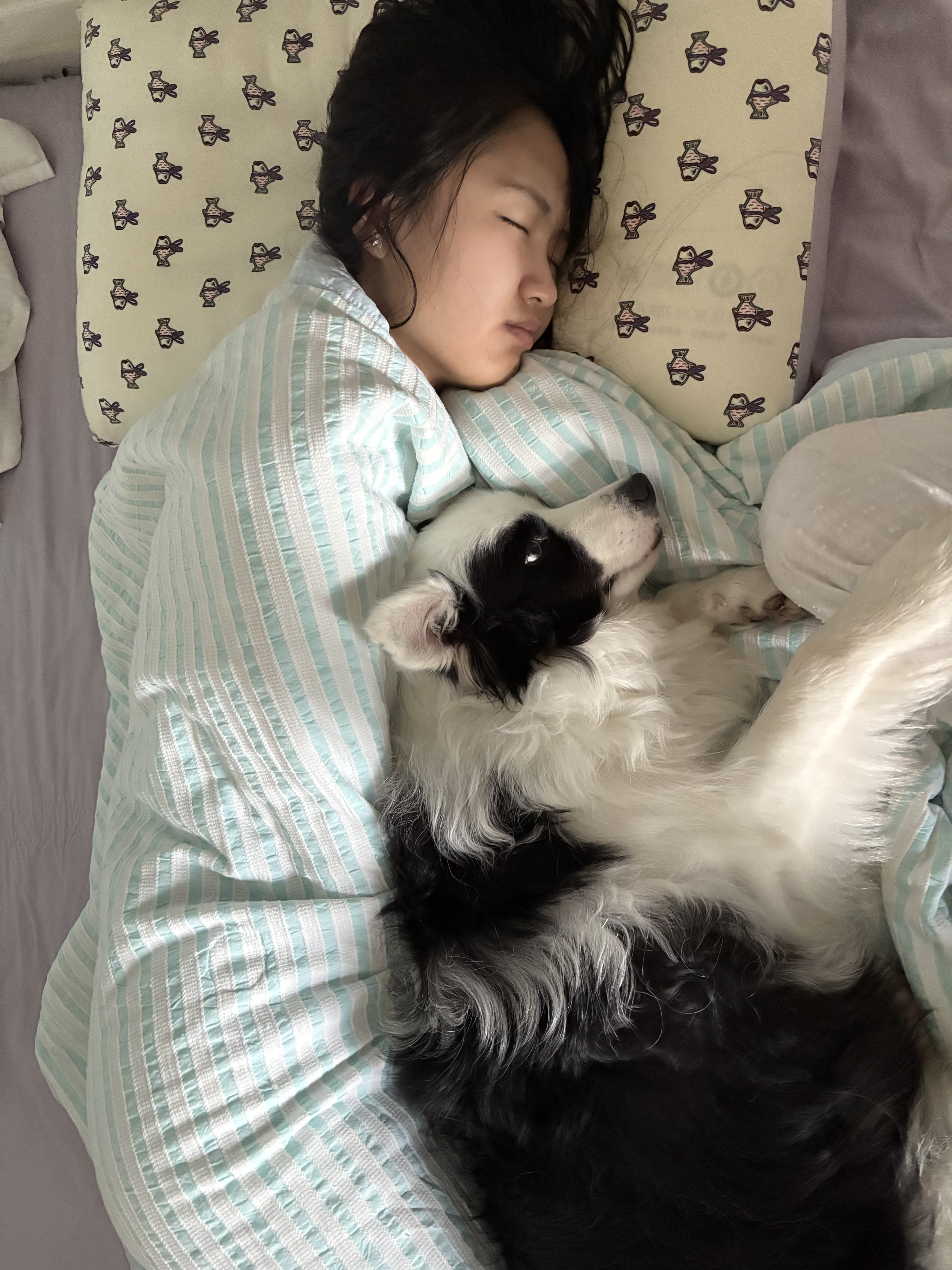 image-7