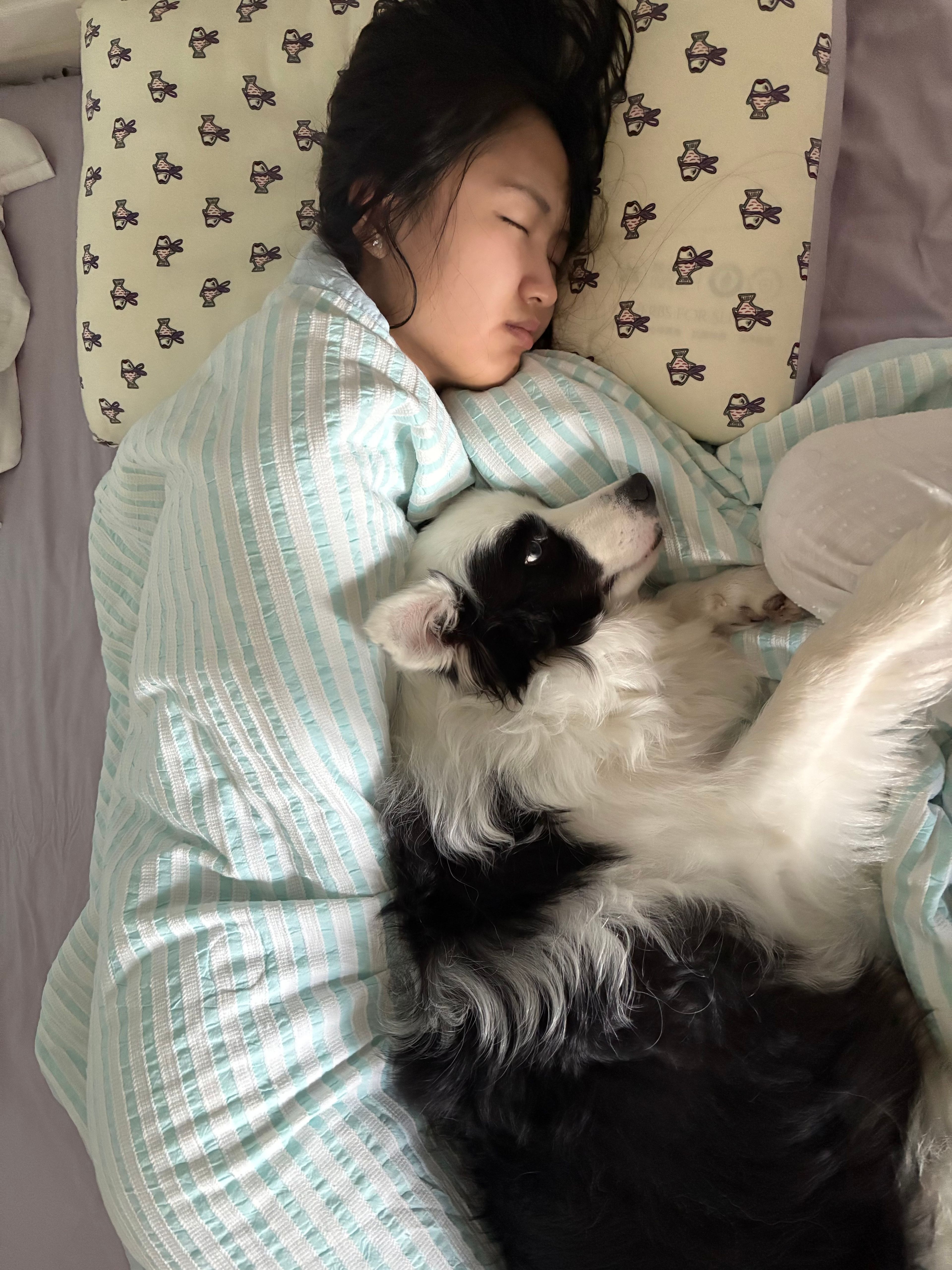 image-7