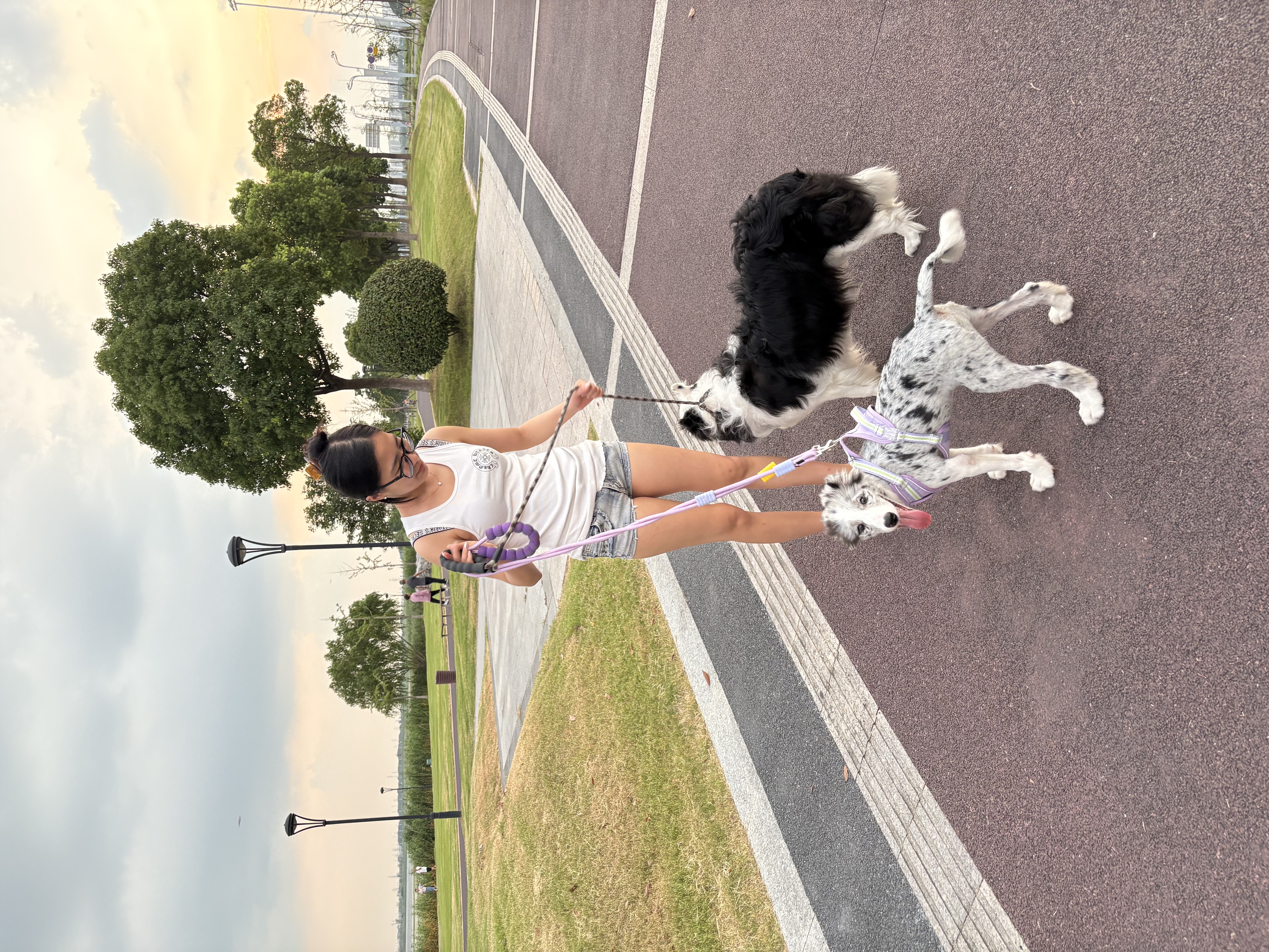 image-3