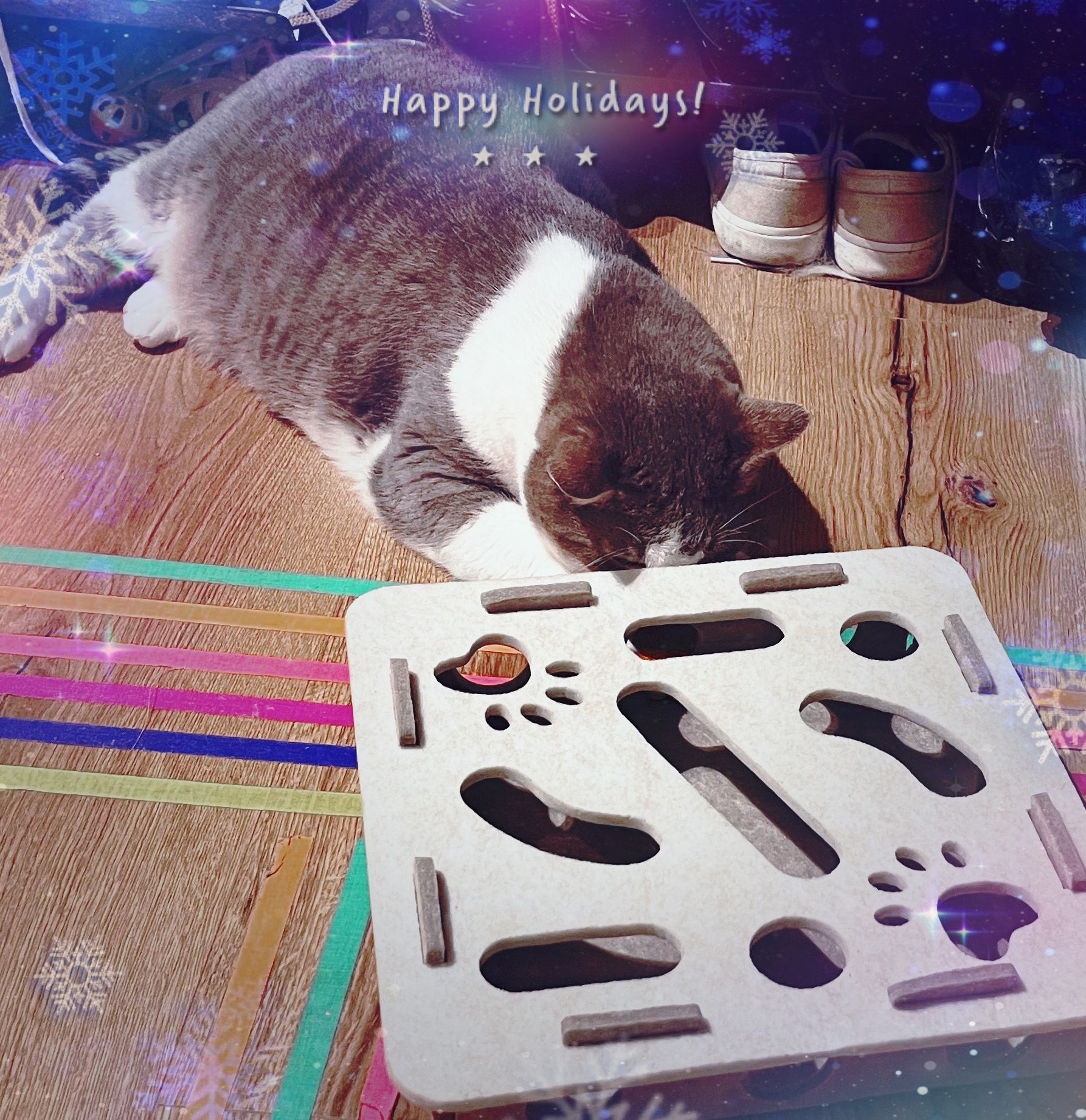 image-8