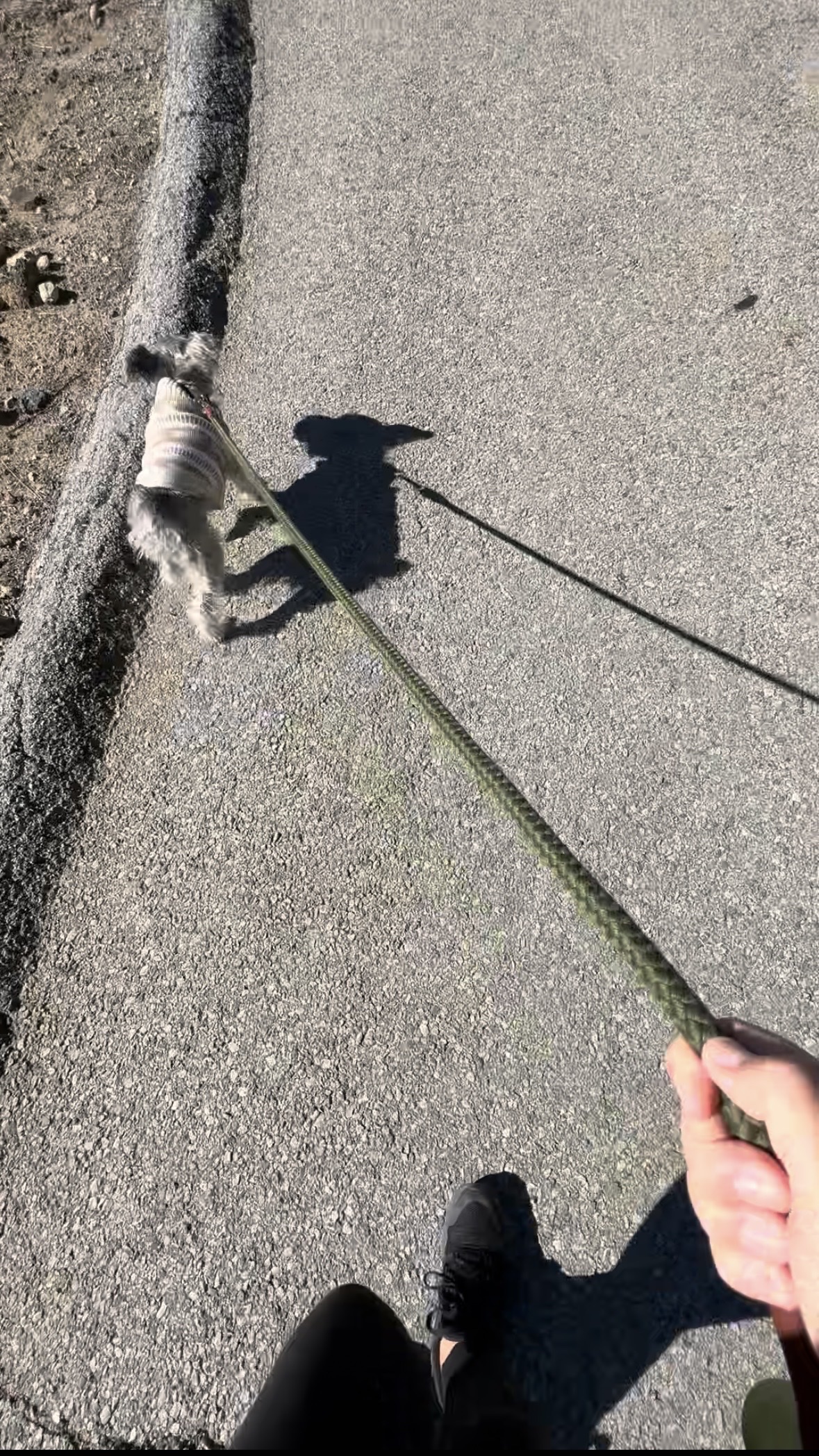 image-6