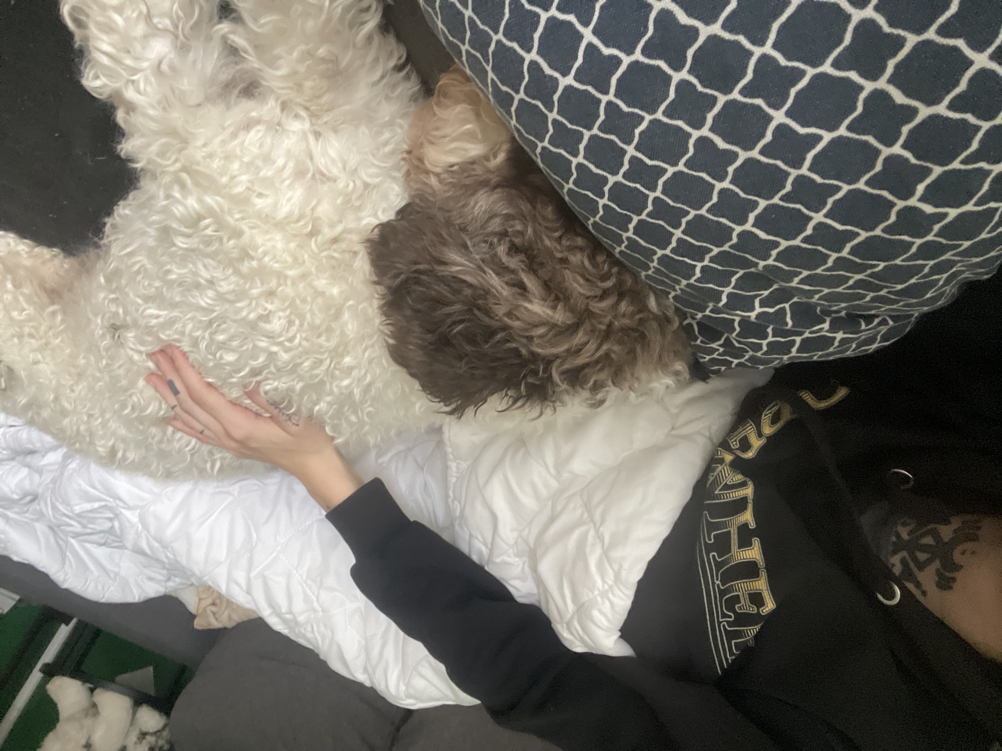 image-12
