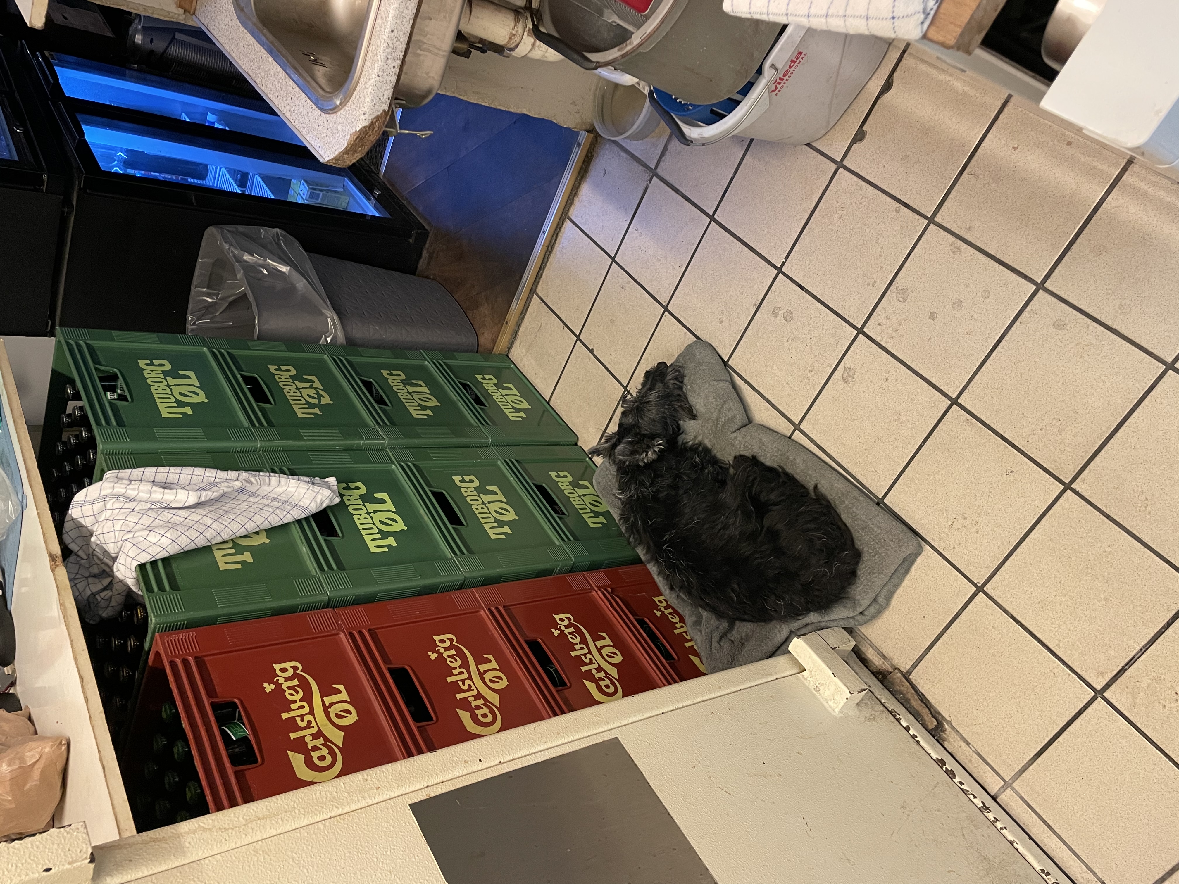 image-14