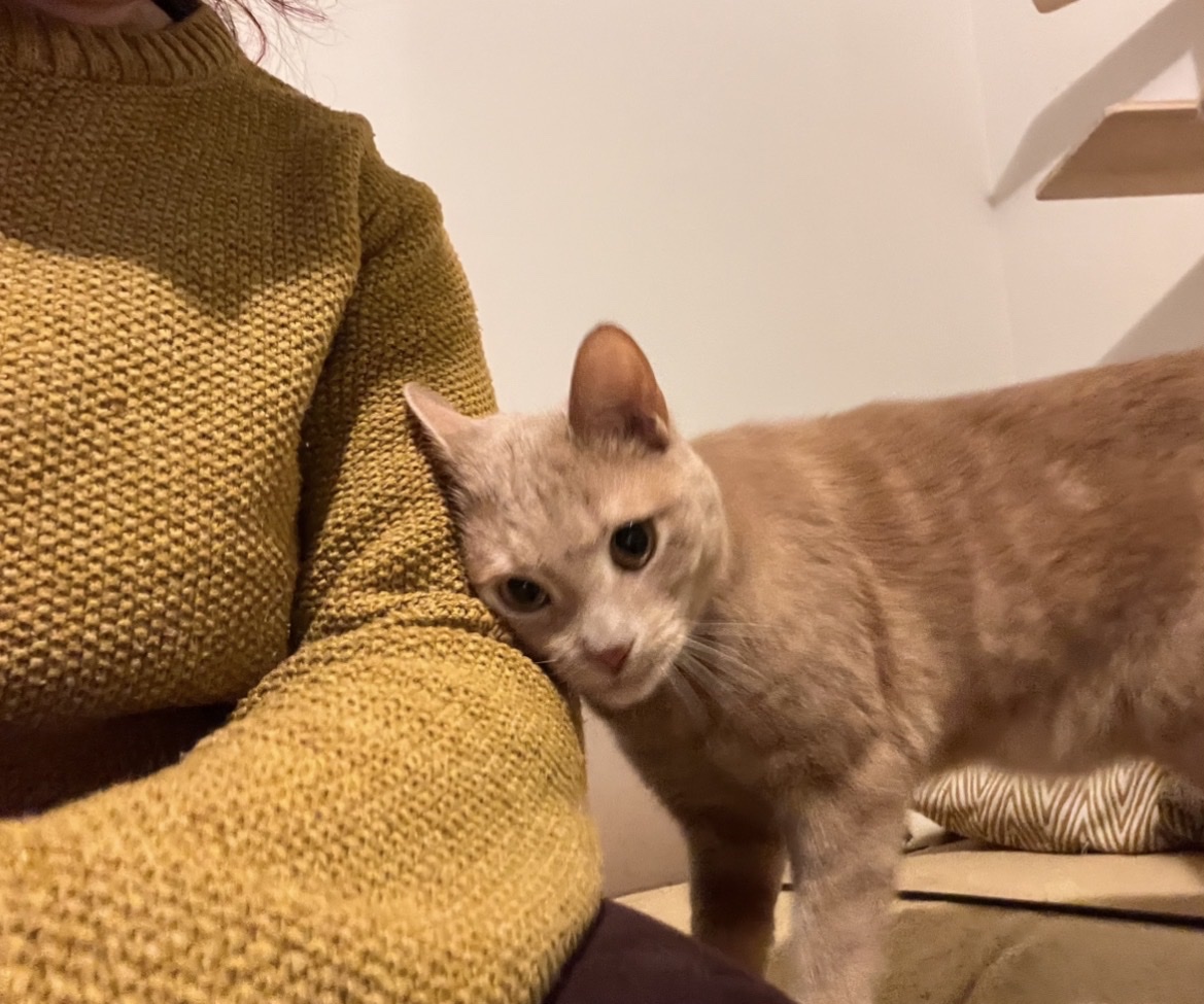 image-6
