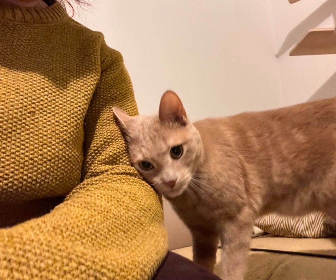 image-6