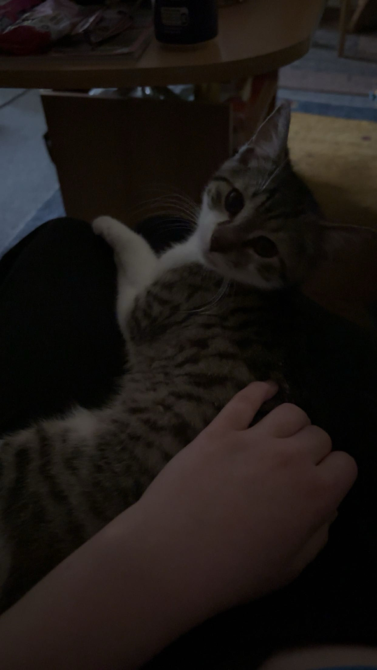 image-6
