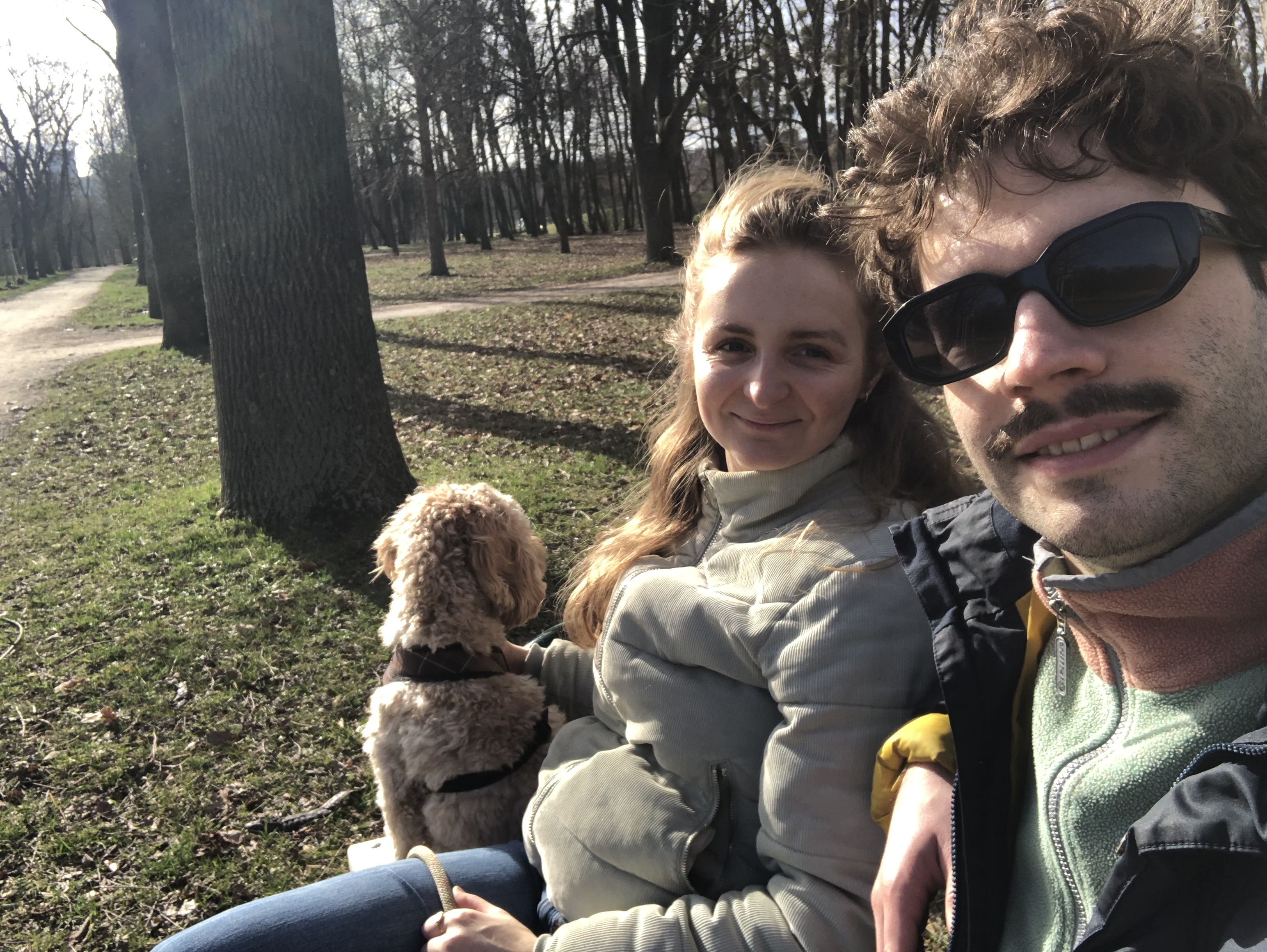 image-11