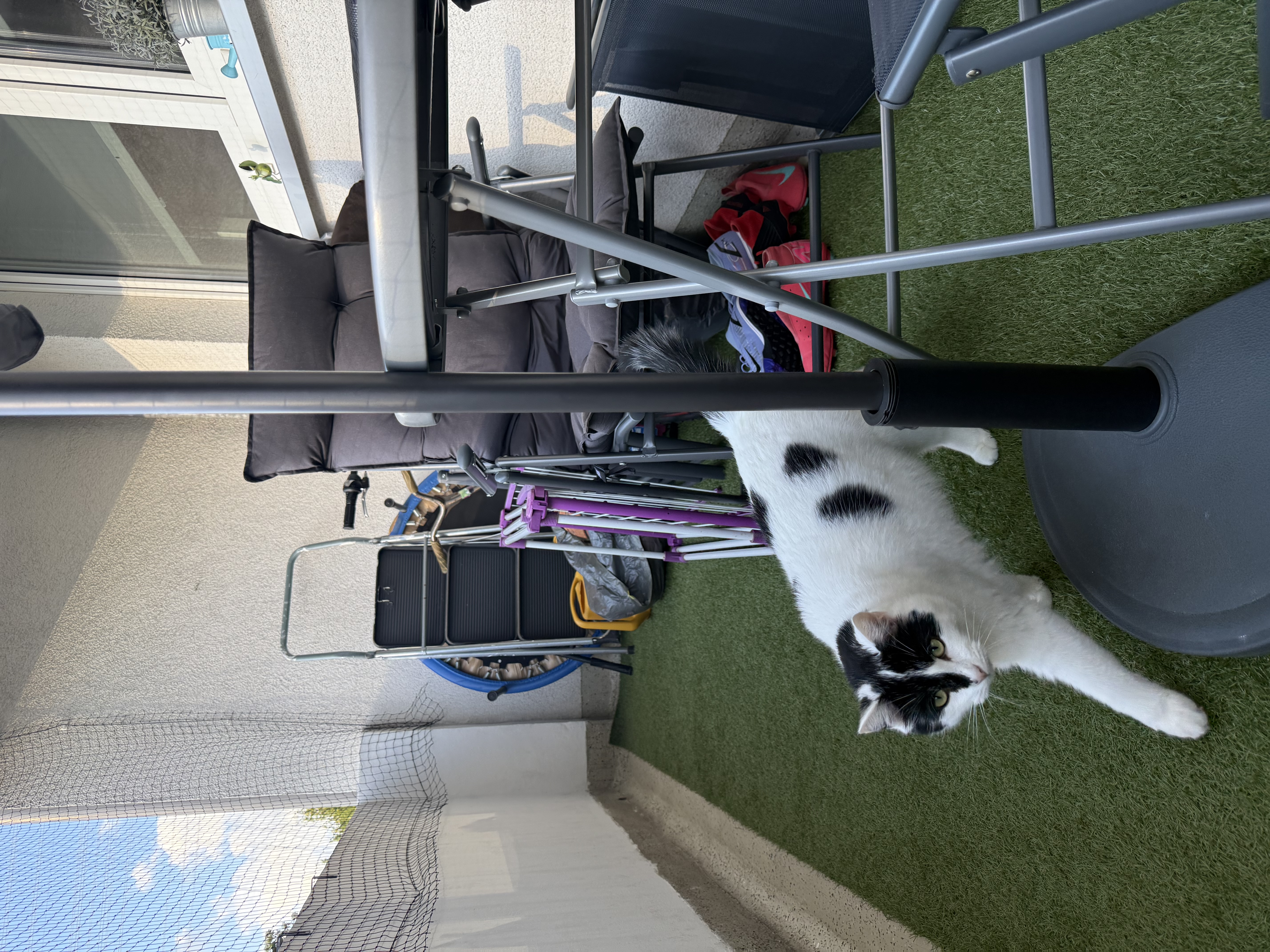 image-6