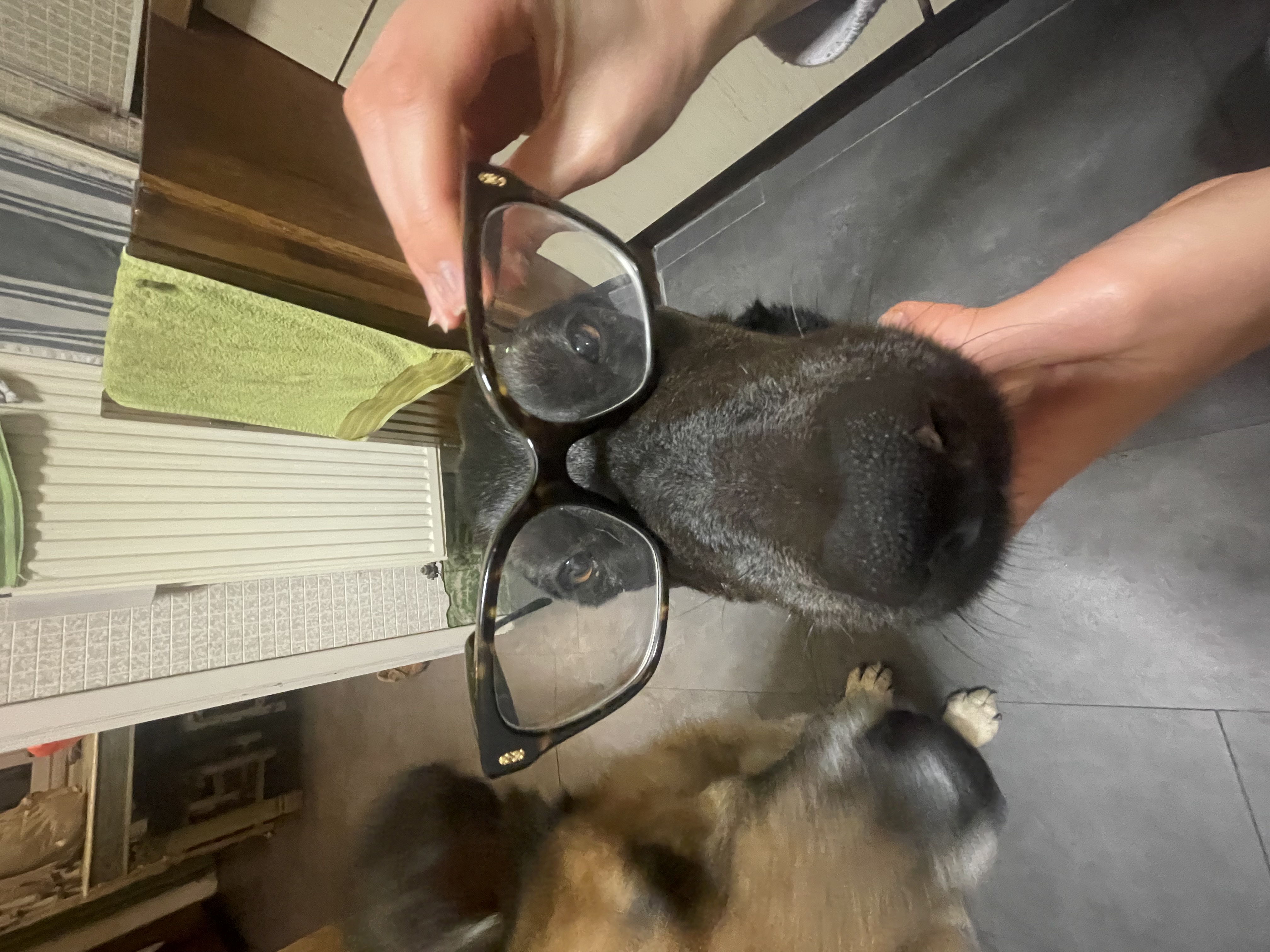 image-9