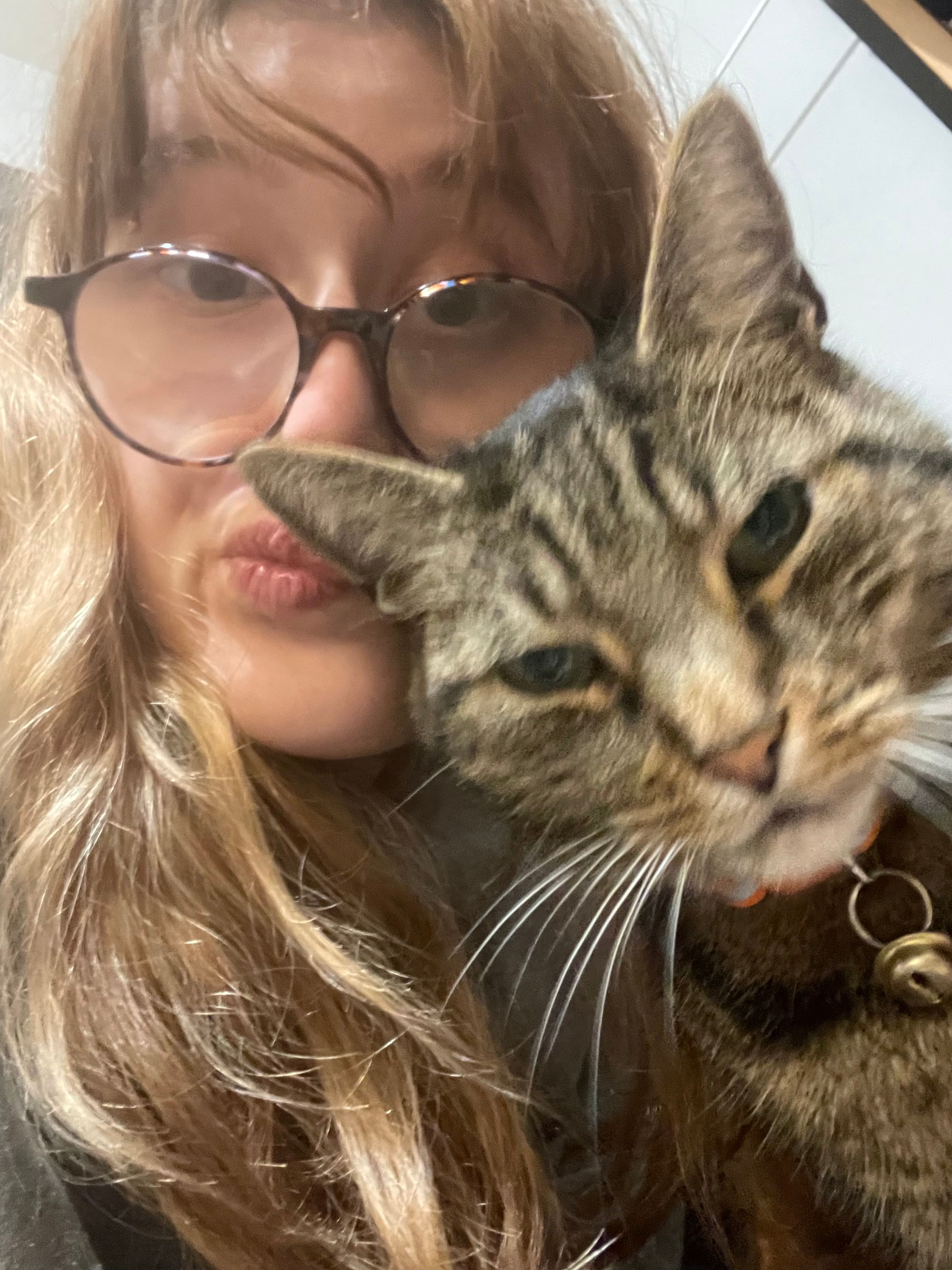 image-6