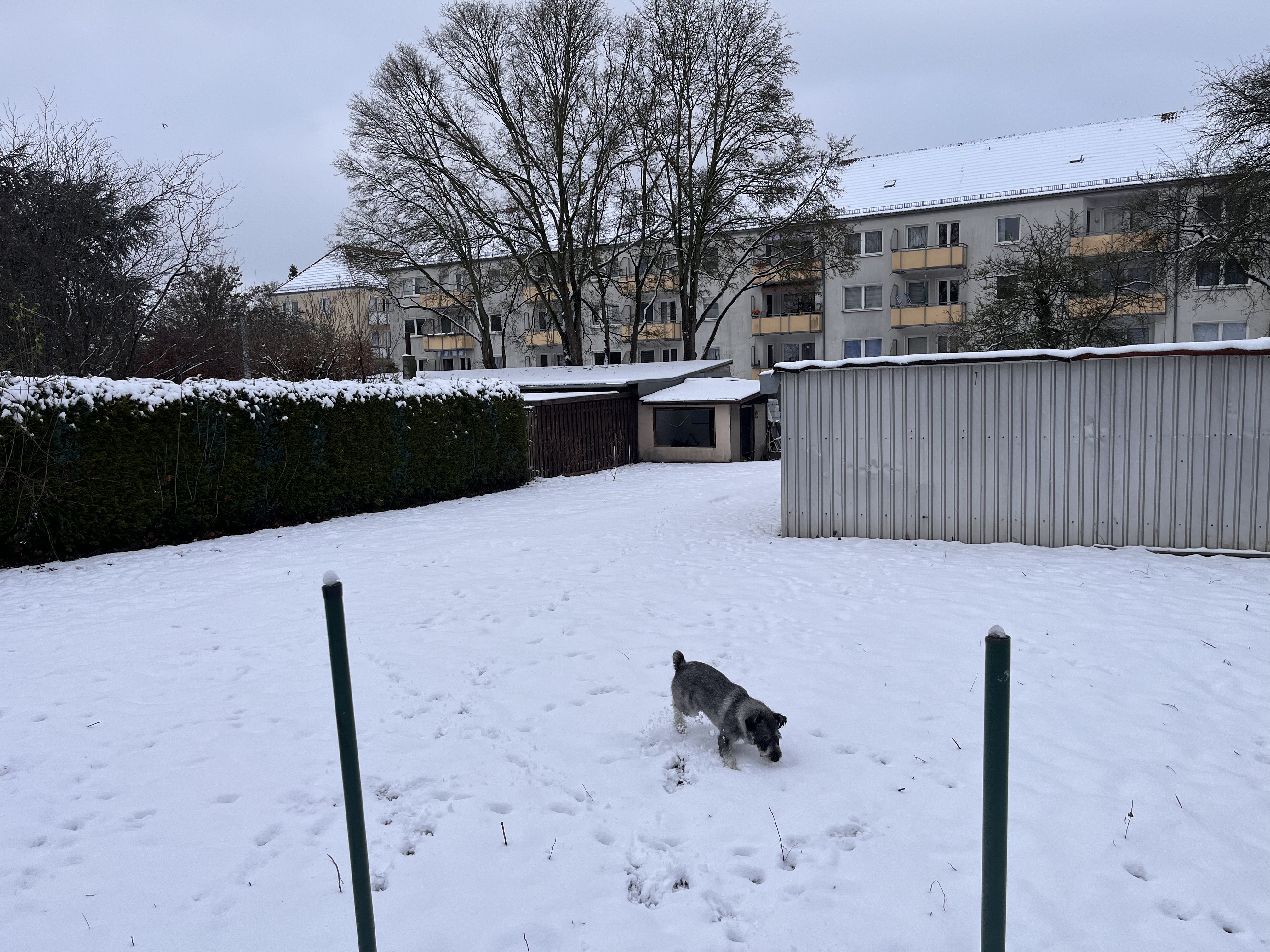 image-19