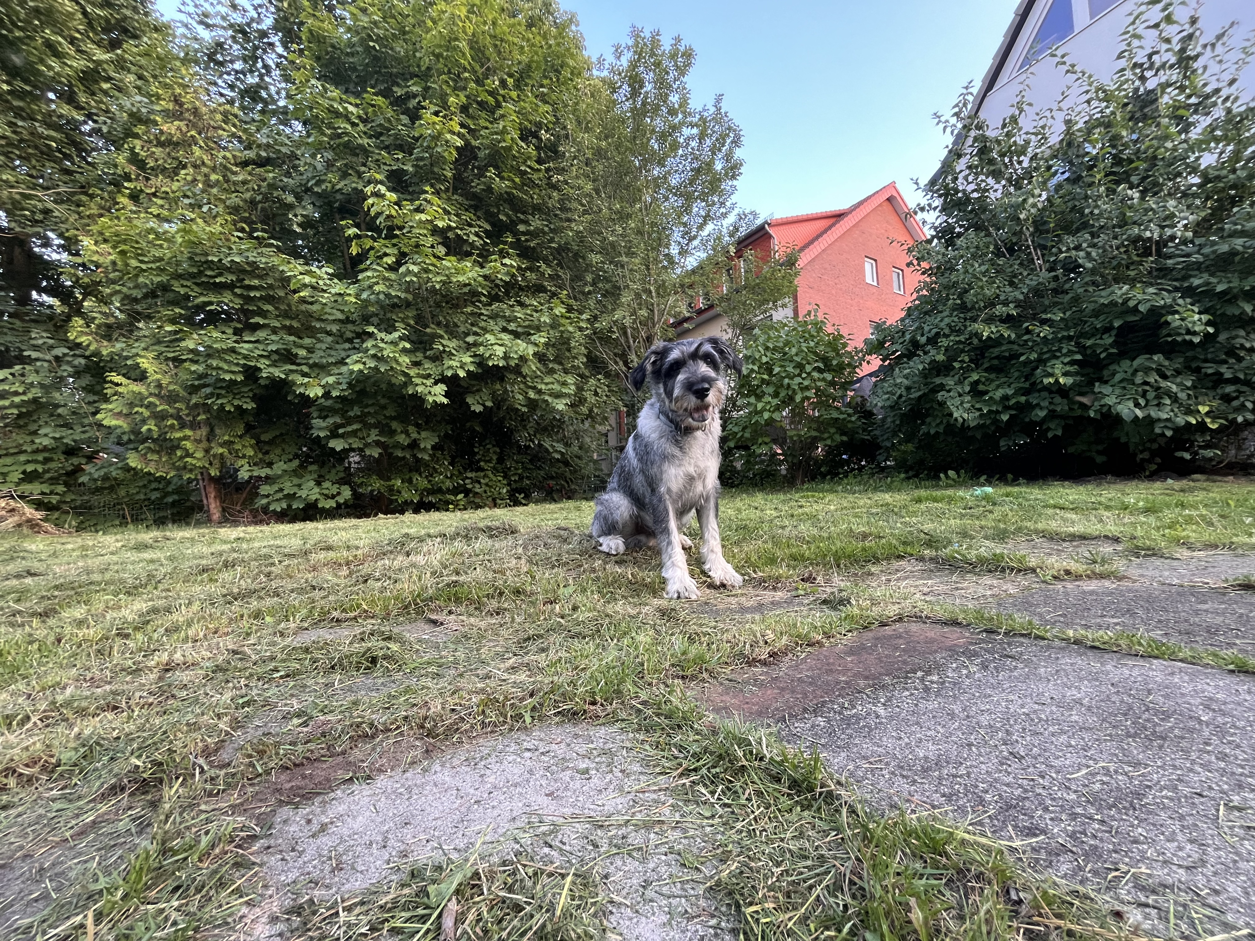 image-35