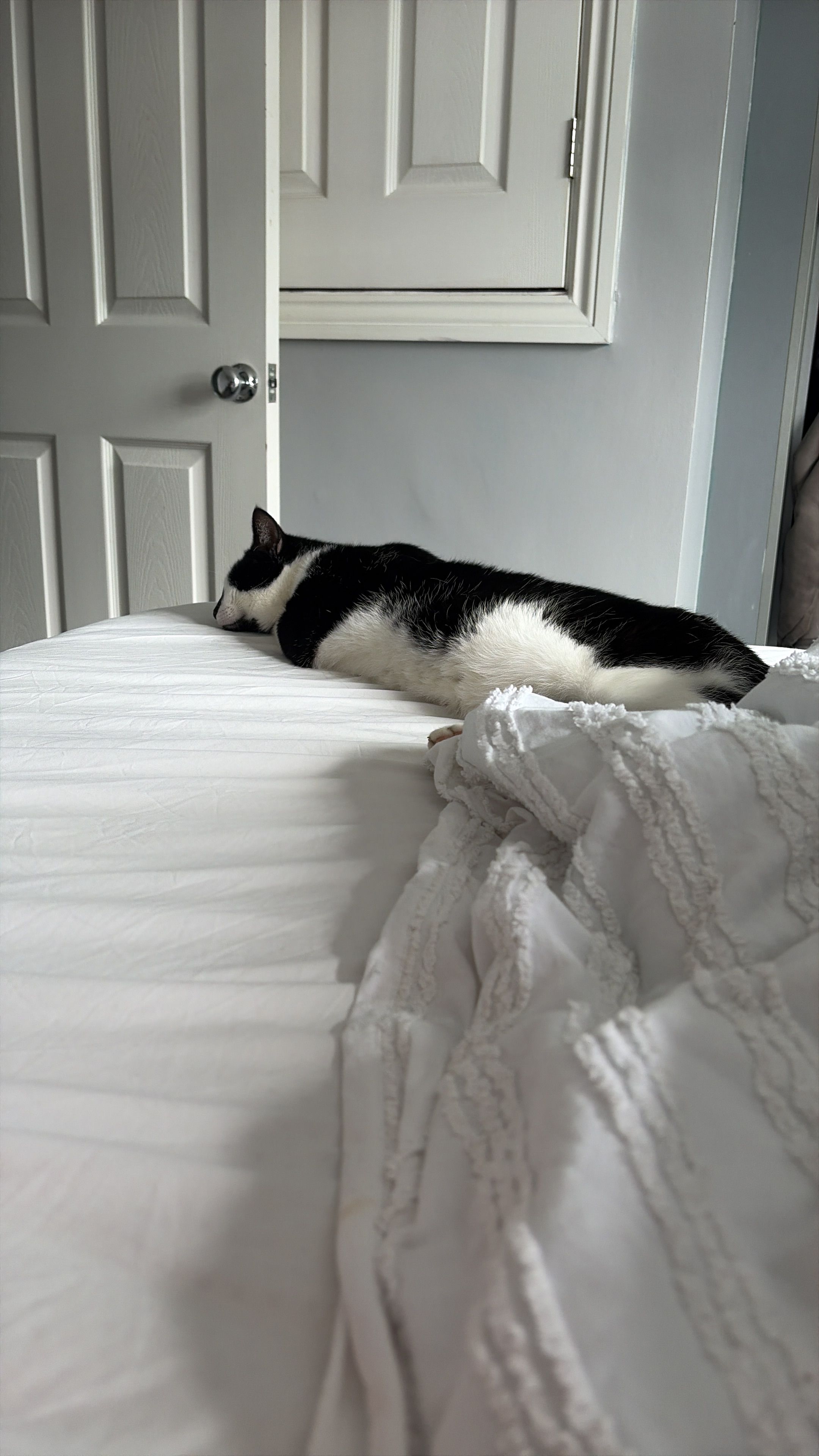 image-8