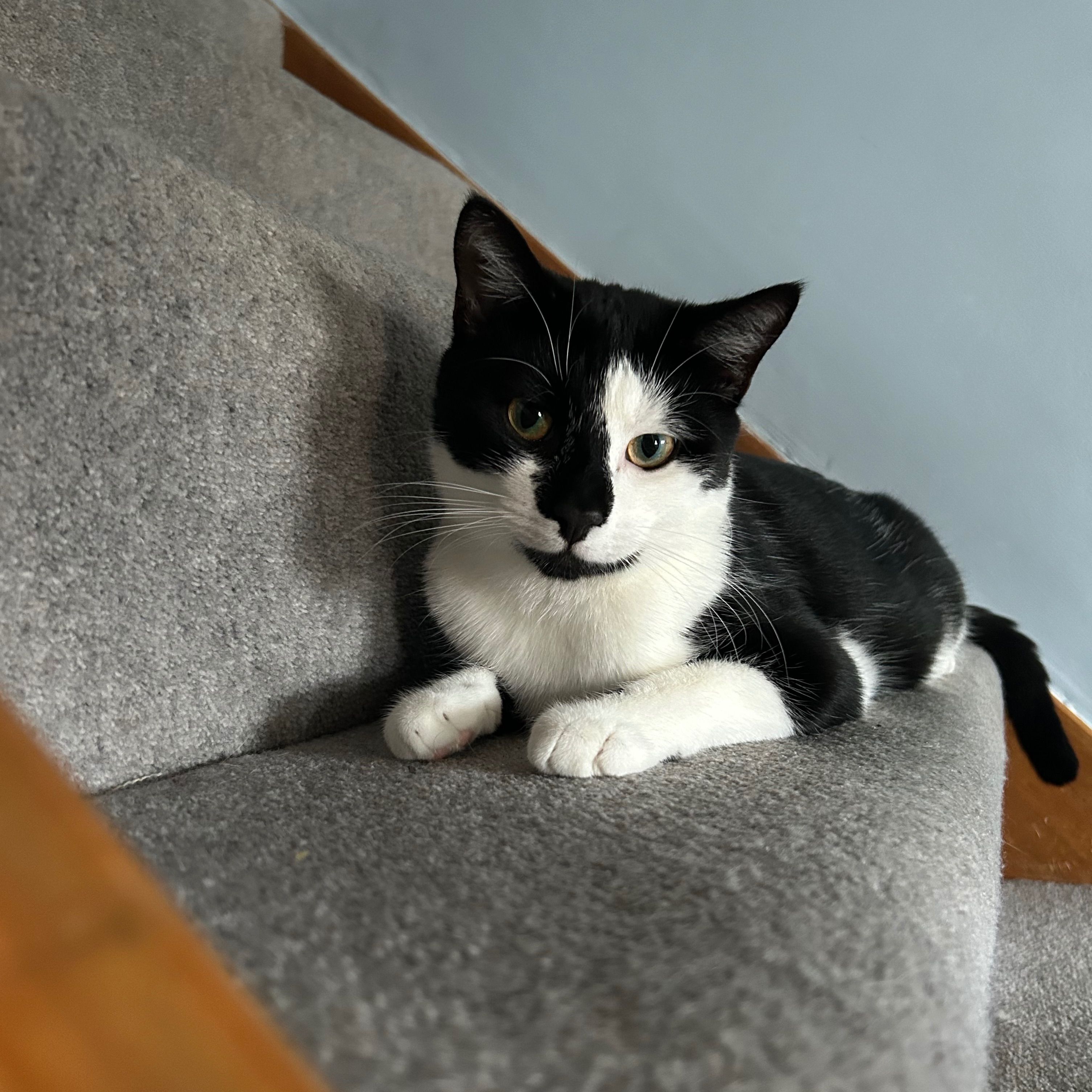 Otis