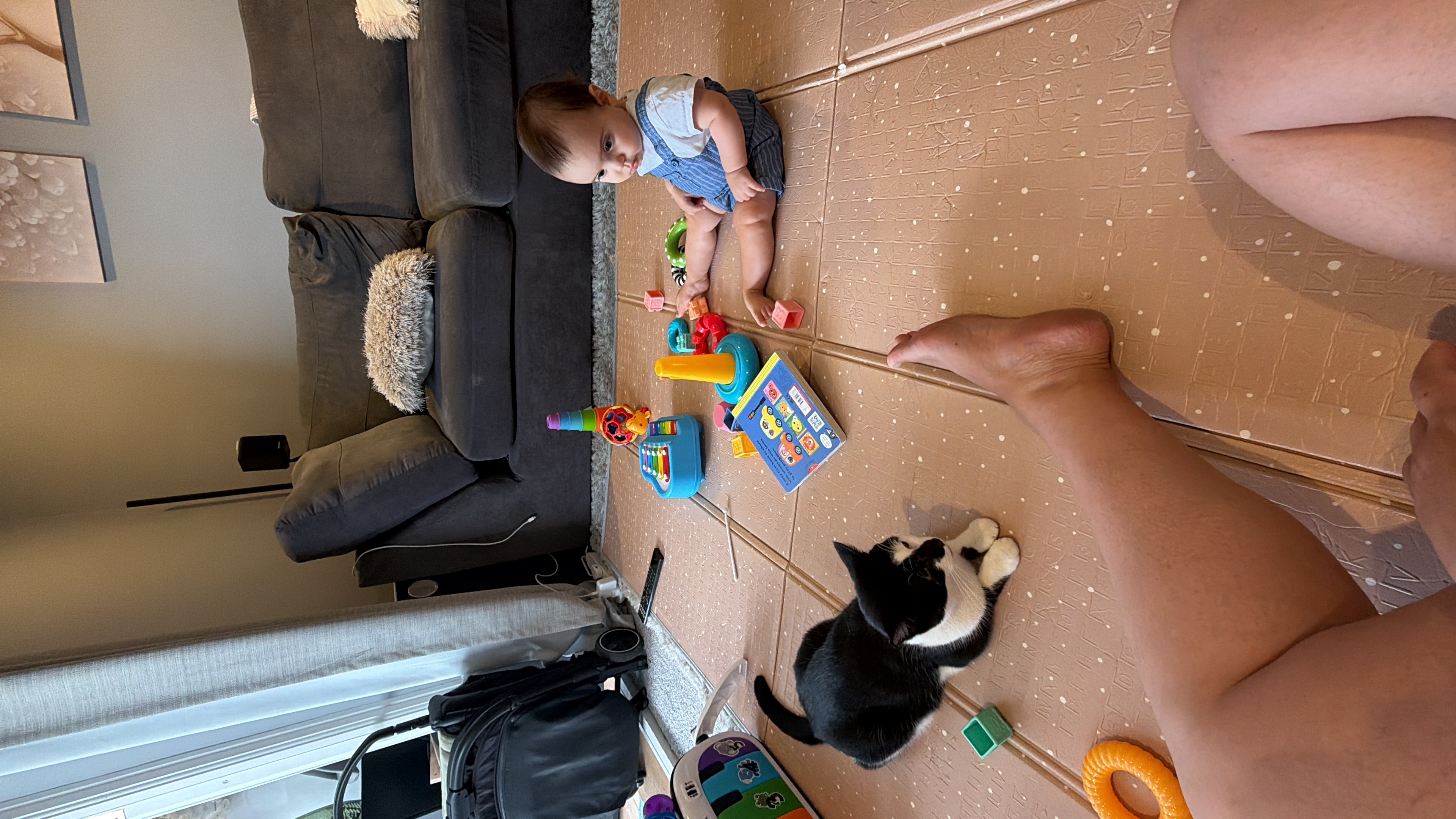 image-6