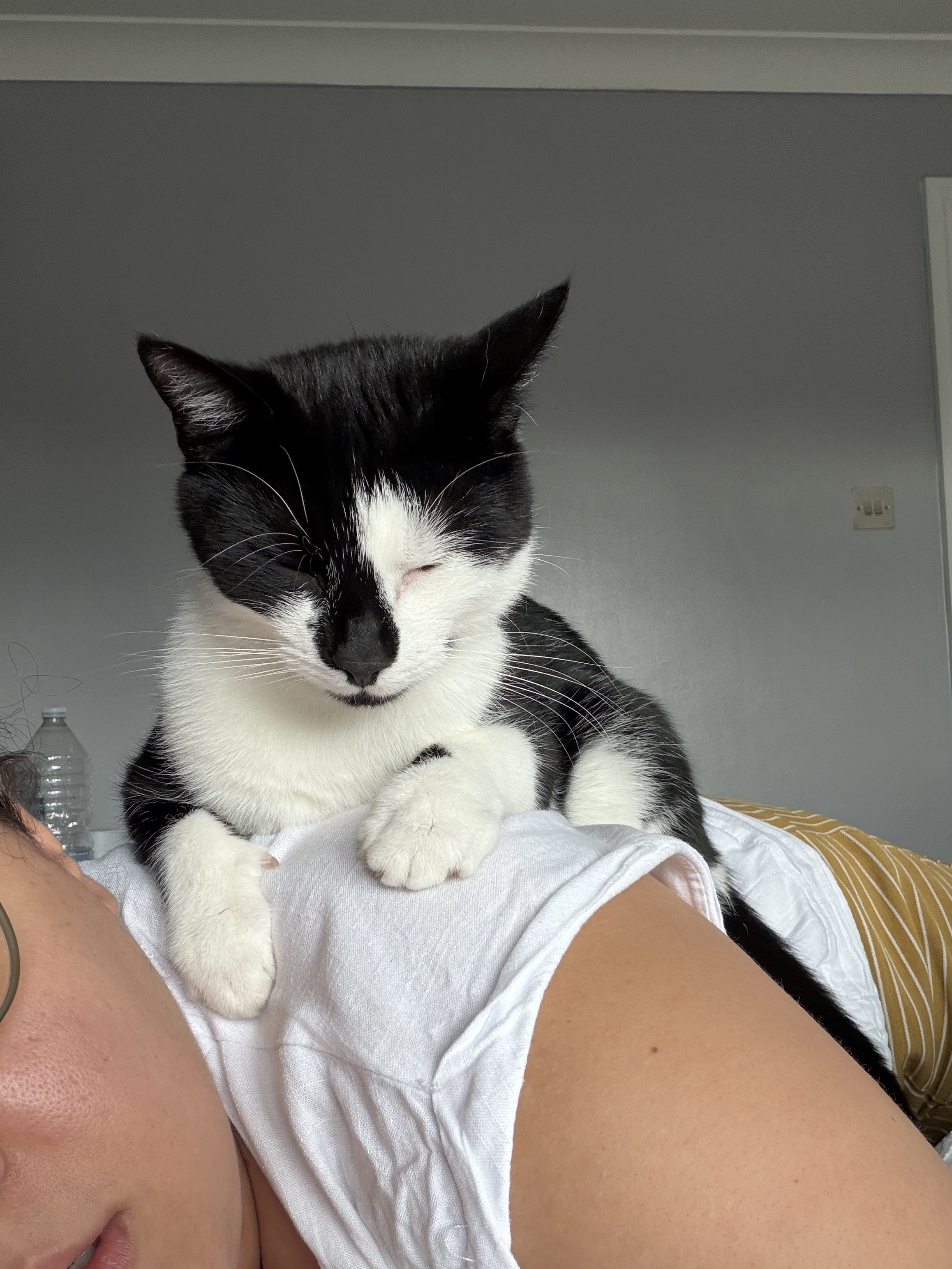 image-7