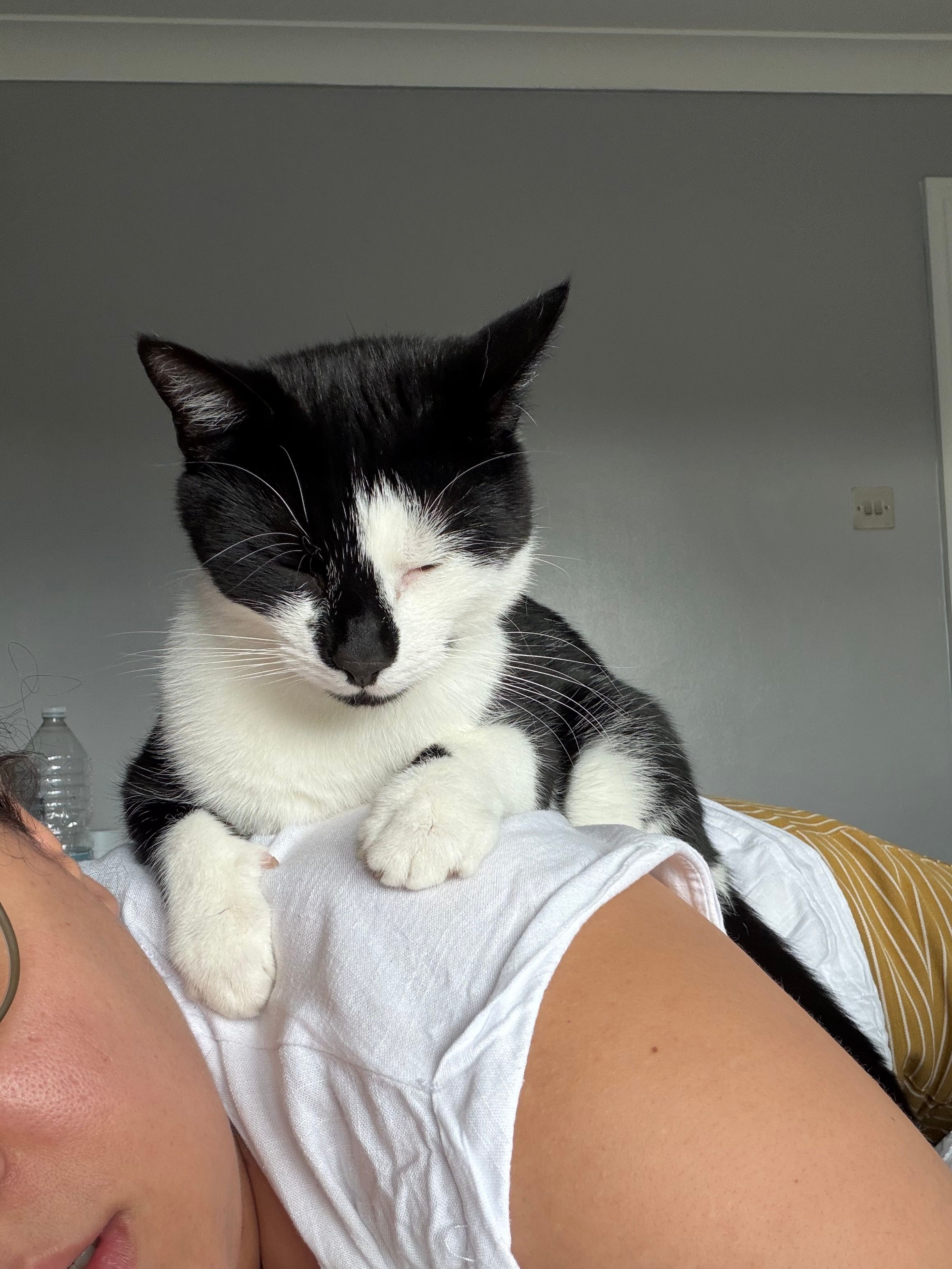 image-7