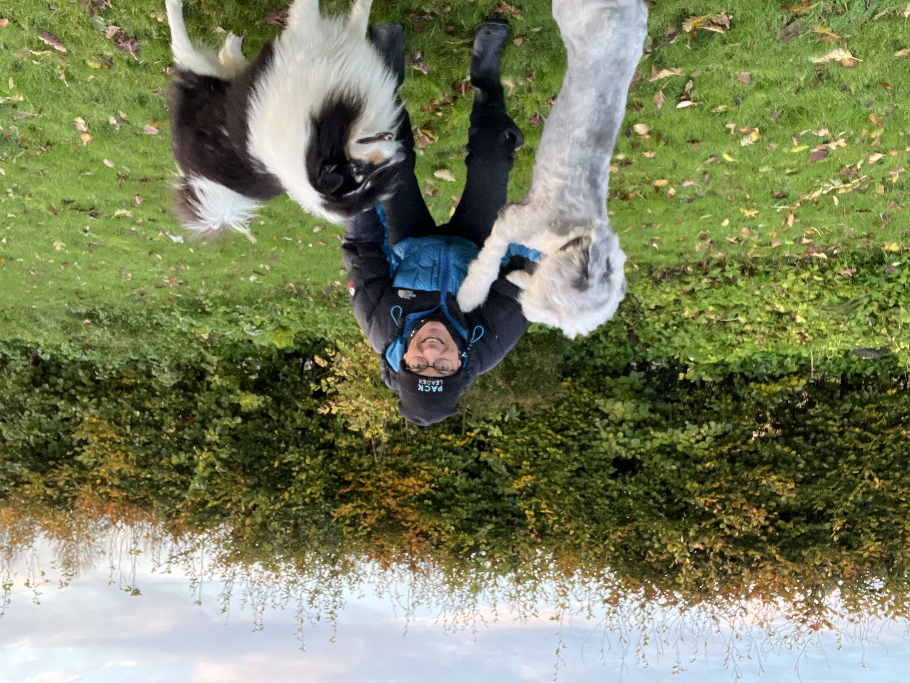 image-8
