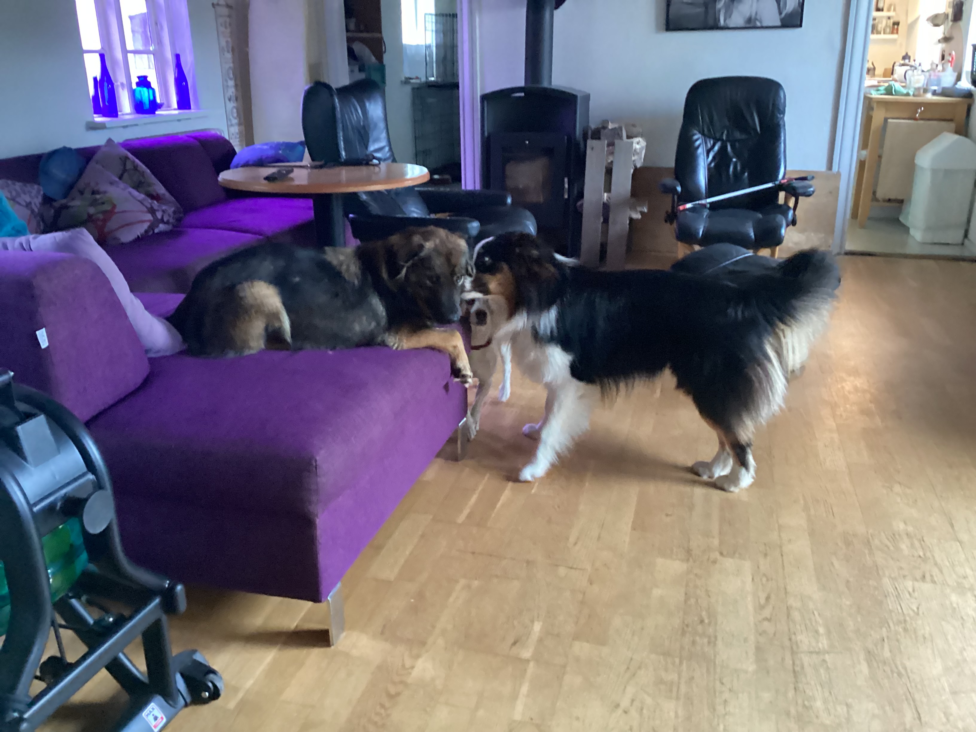 image-16
