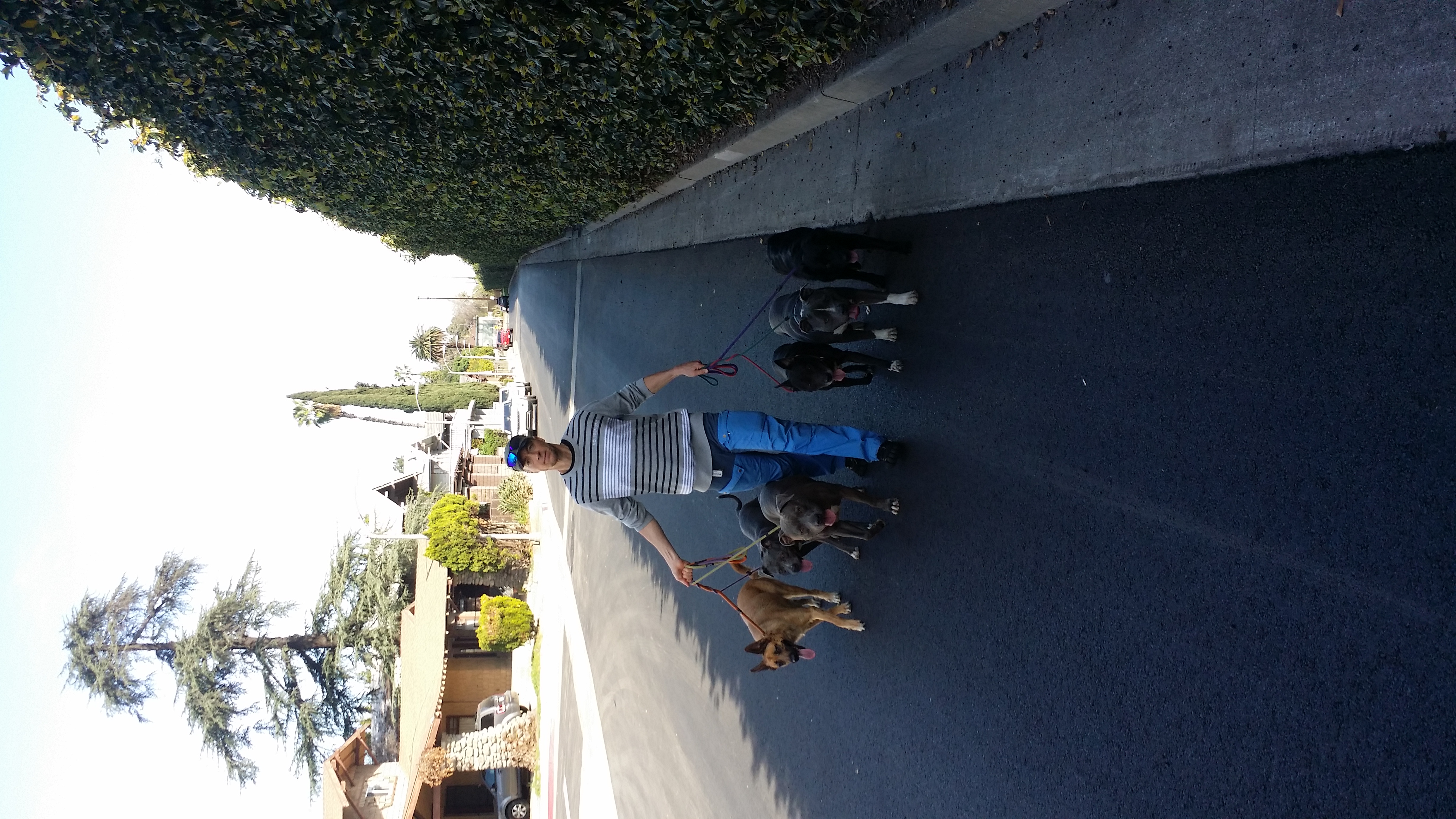 image-5