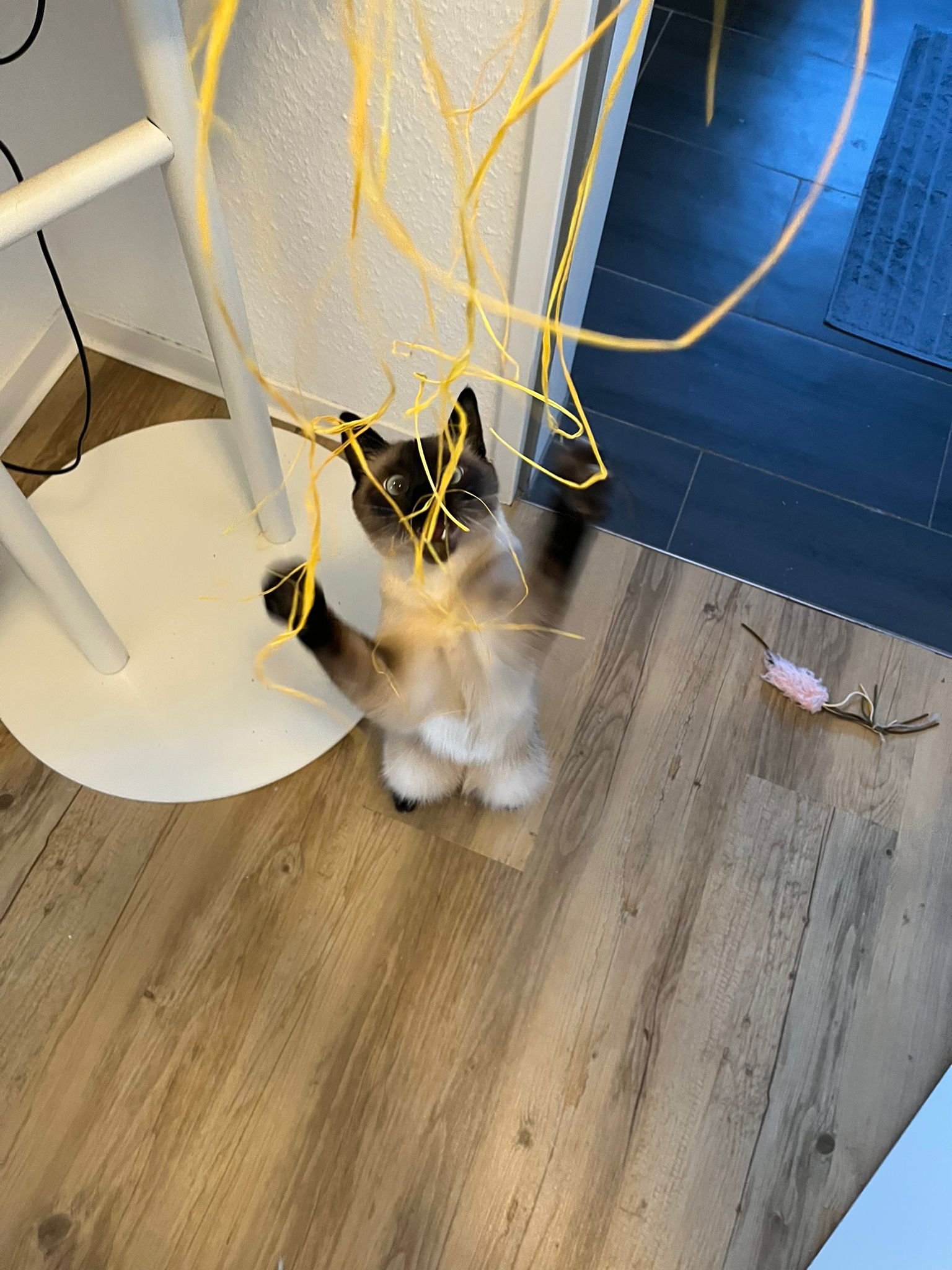 image-7