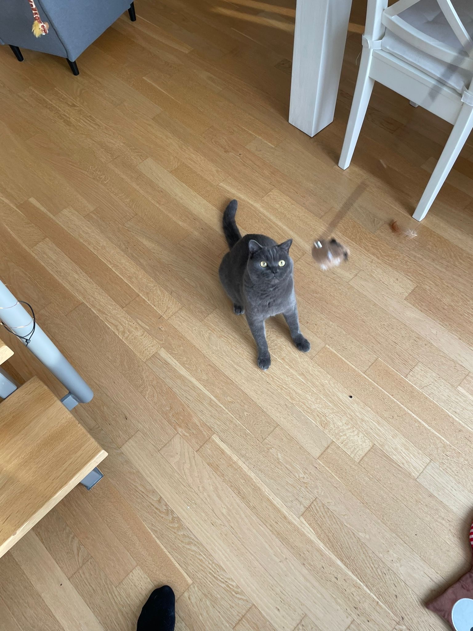 image-11