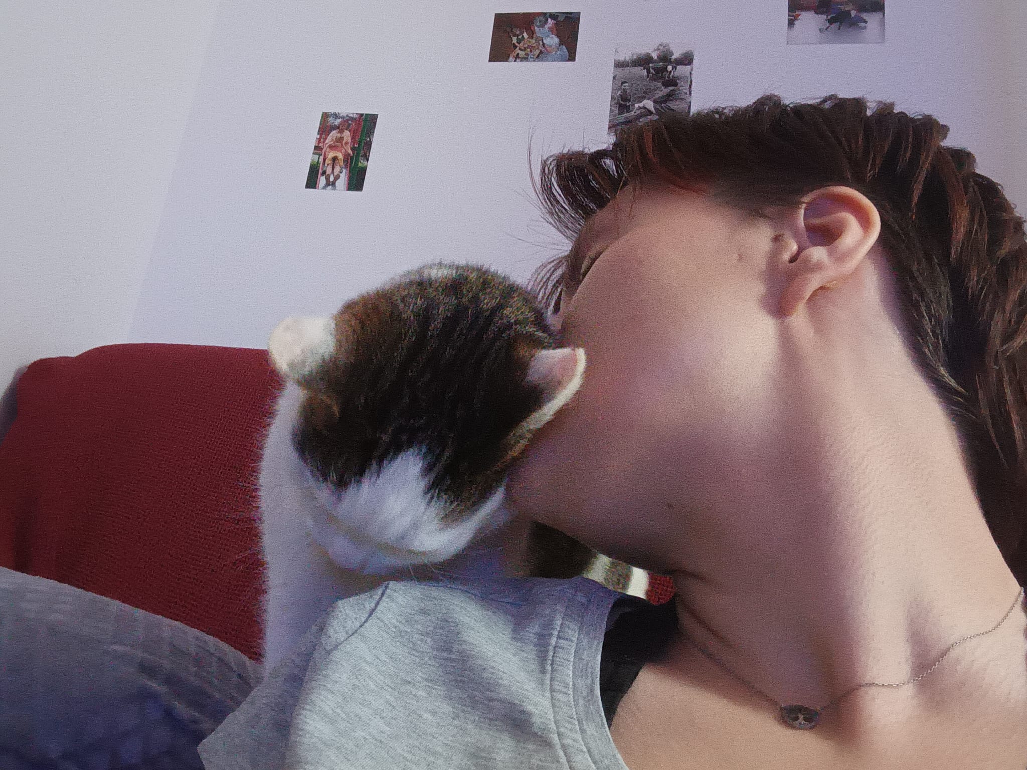 image-8