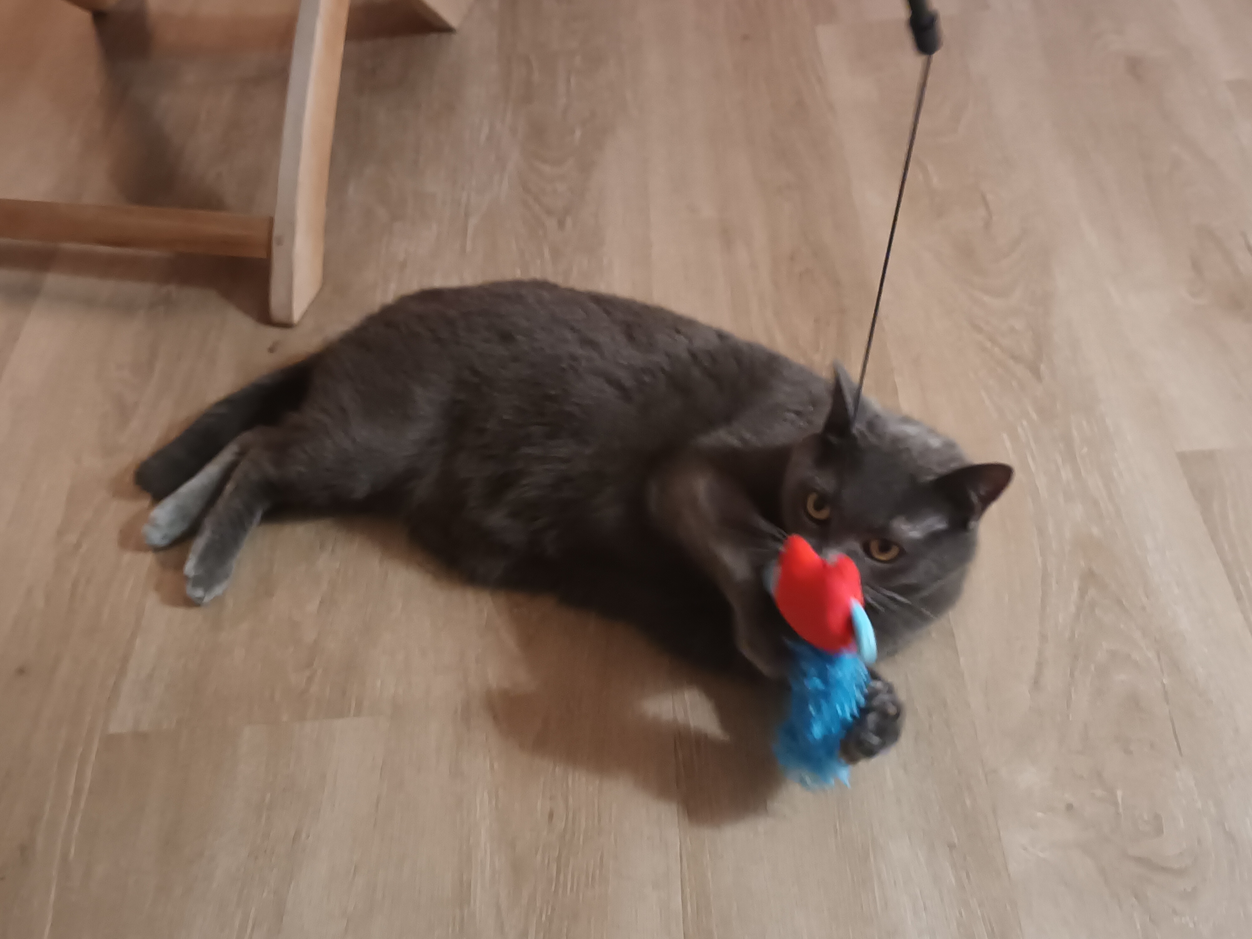 image-16