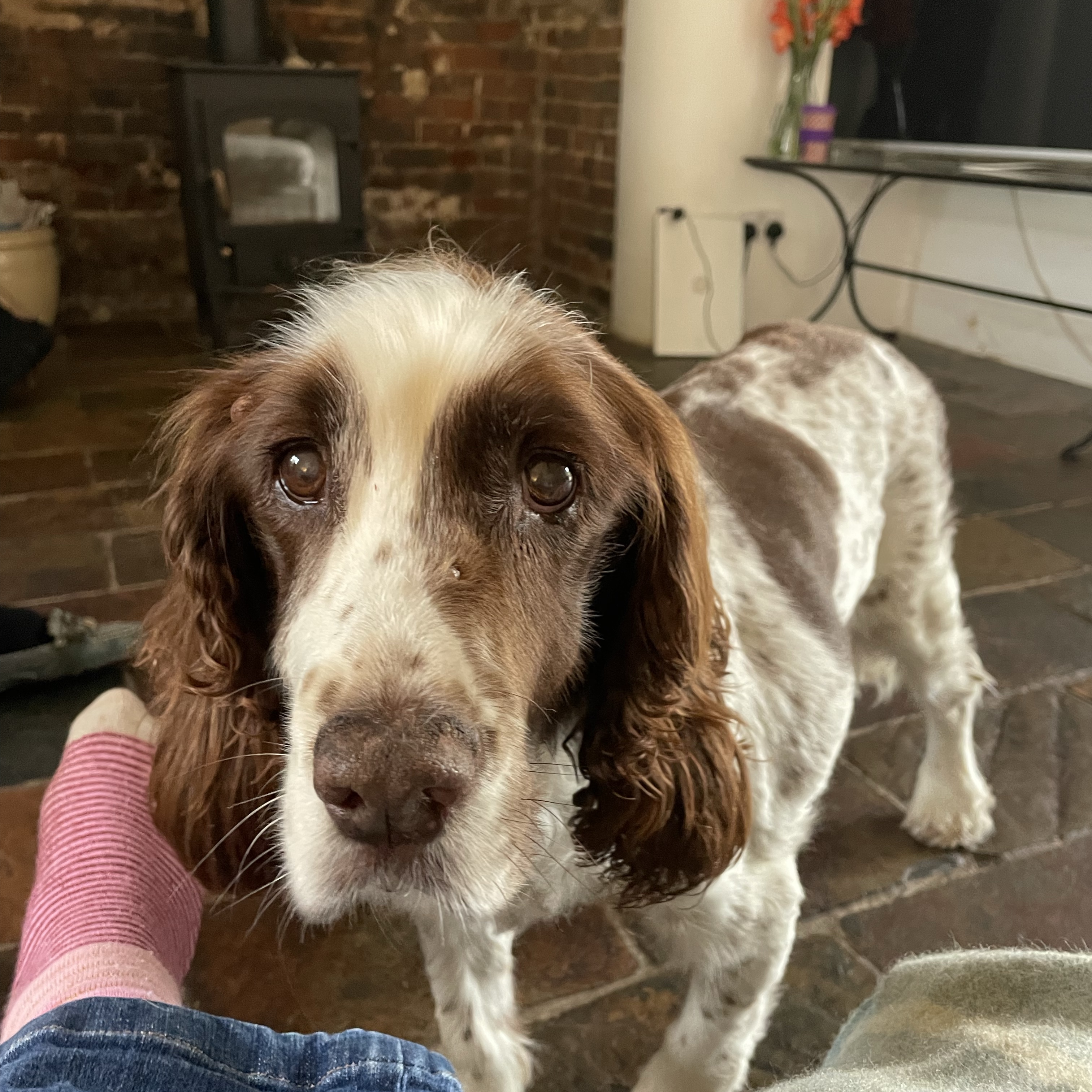 Millie