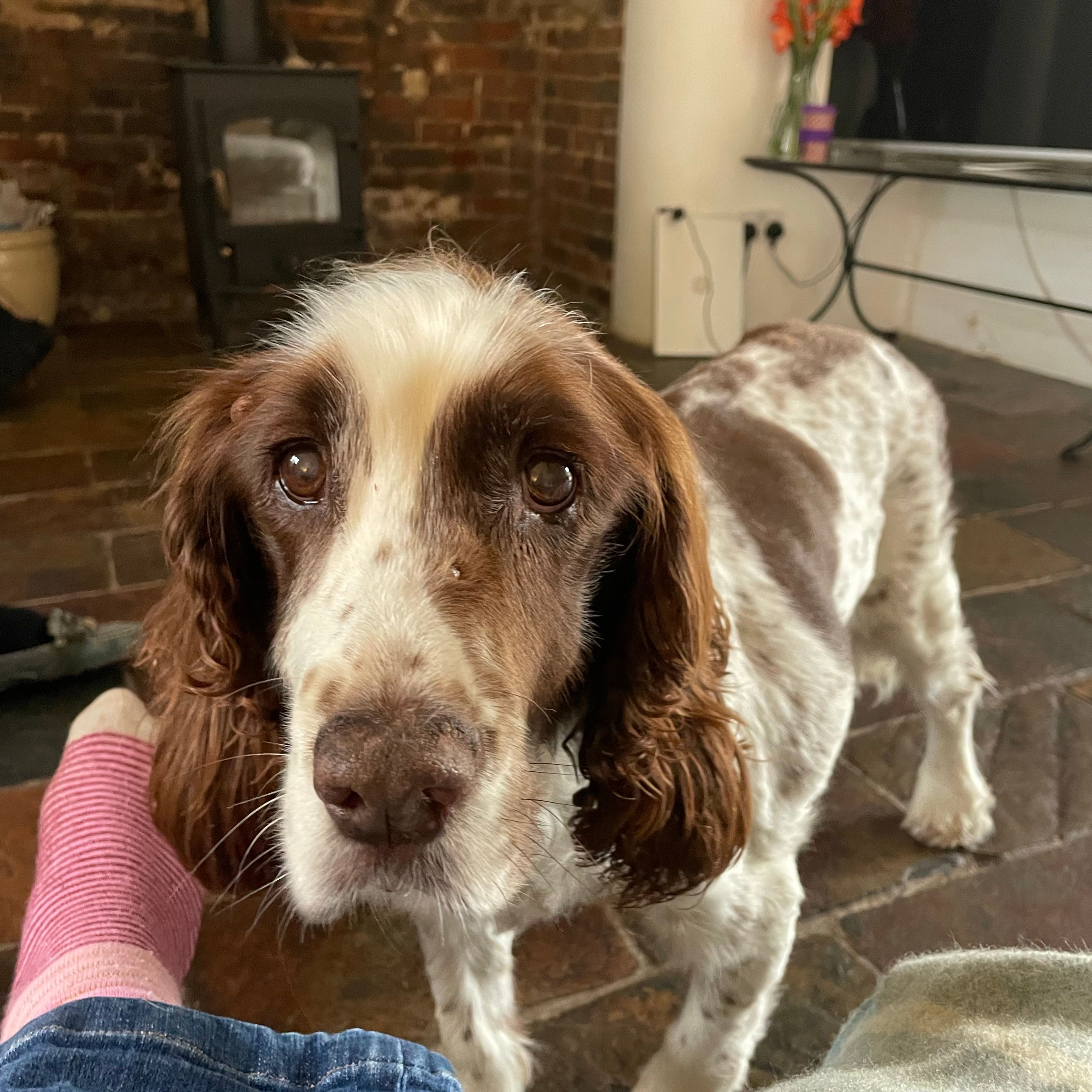 Millie