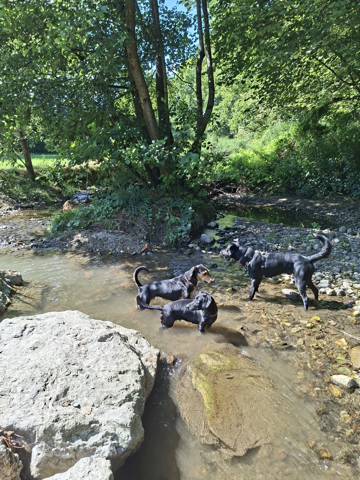 image-11