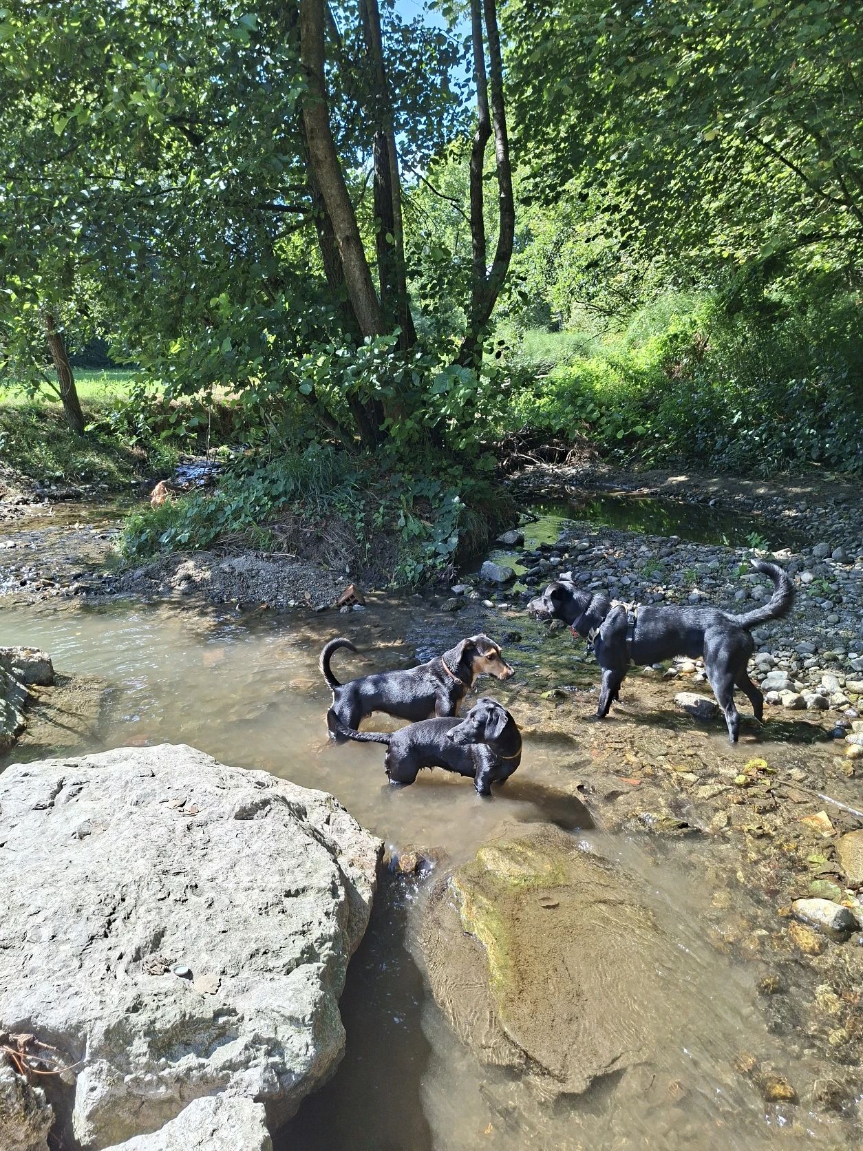 image-11