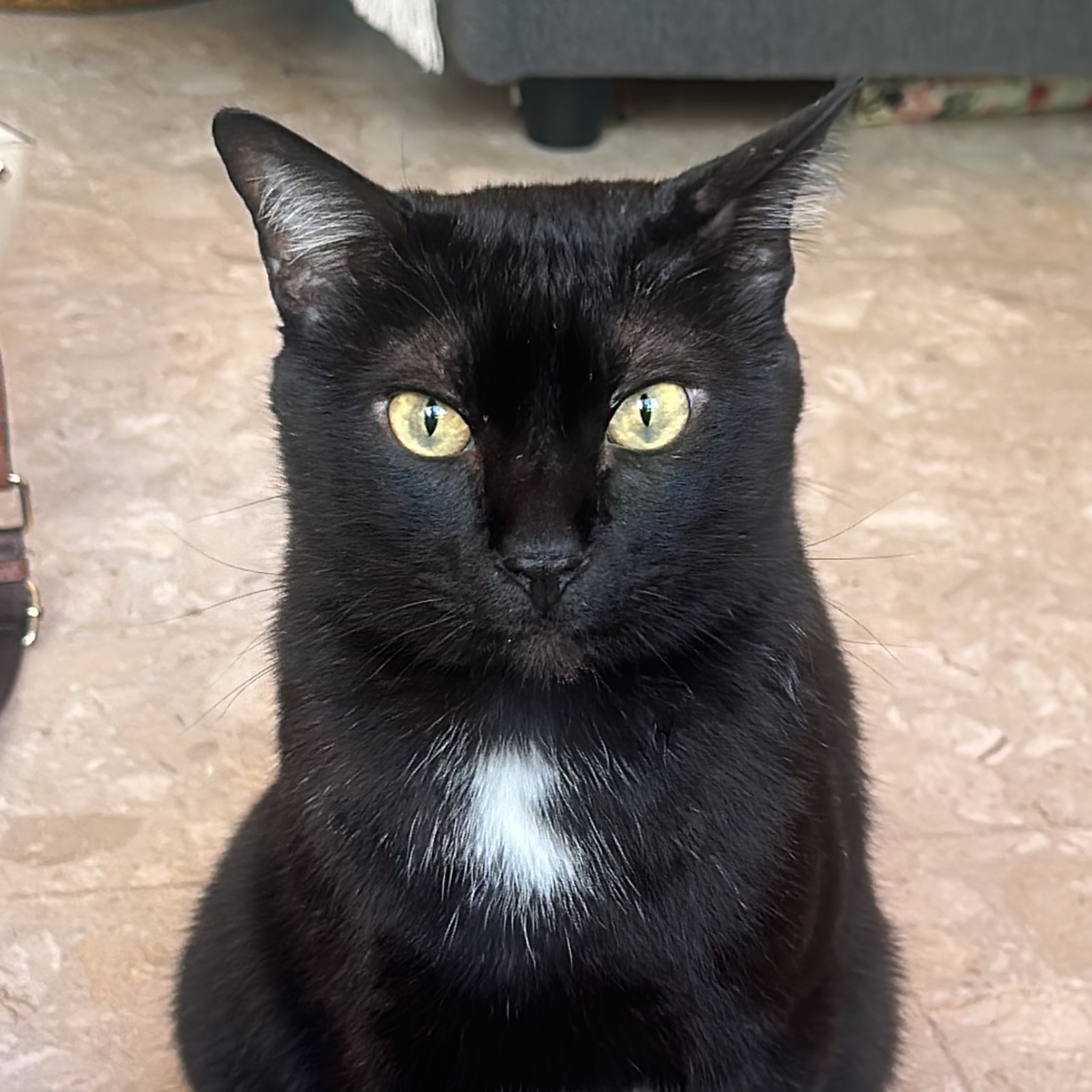 Binx