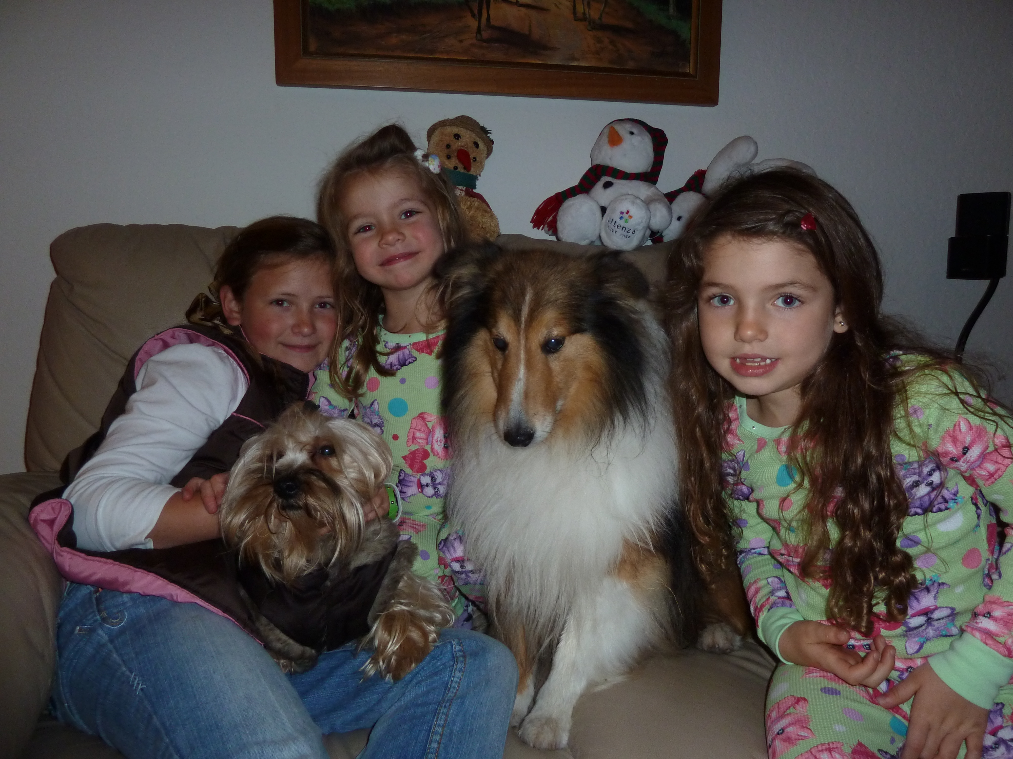 image-6