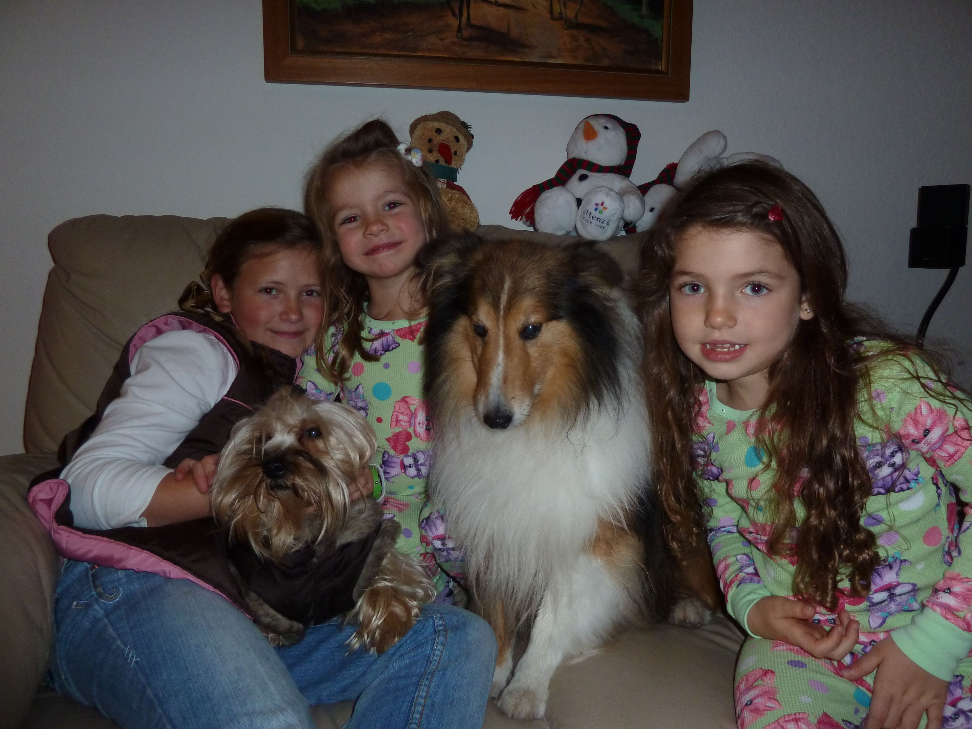 image-6